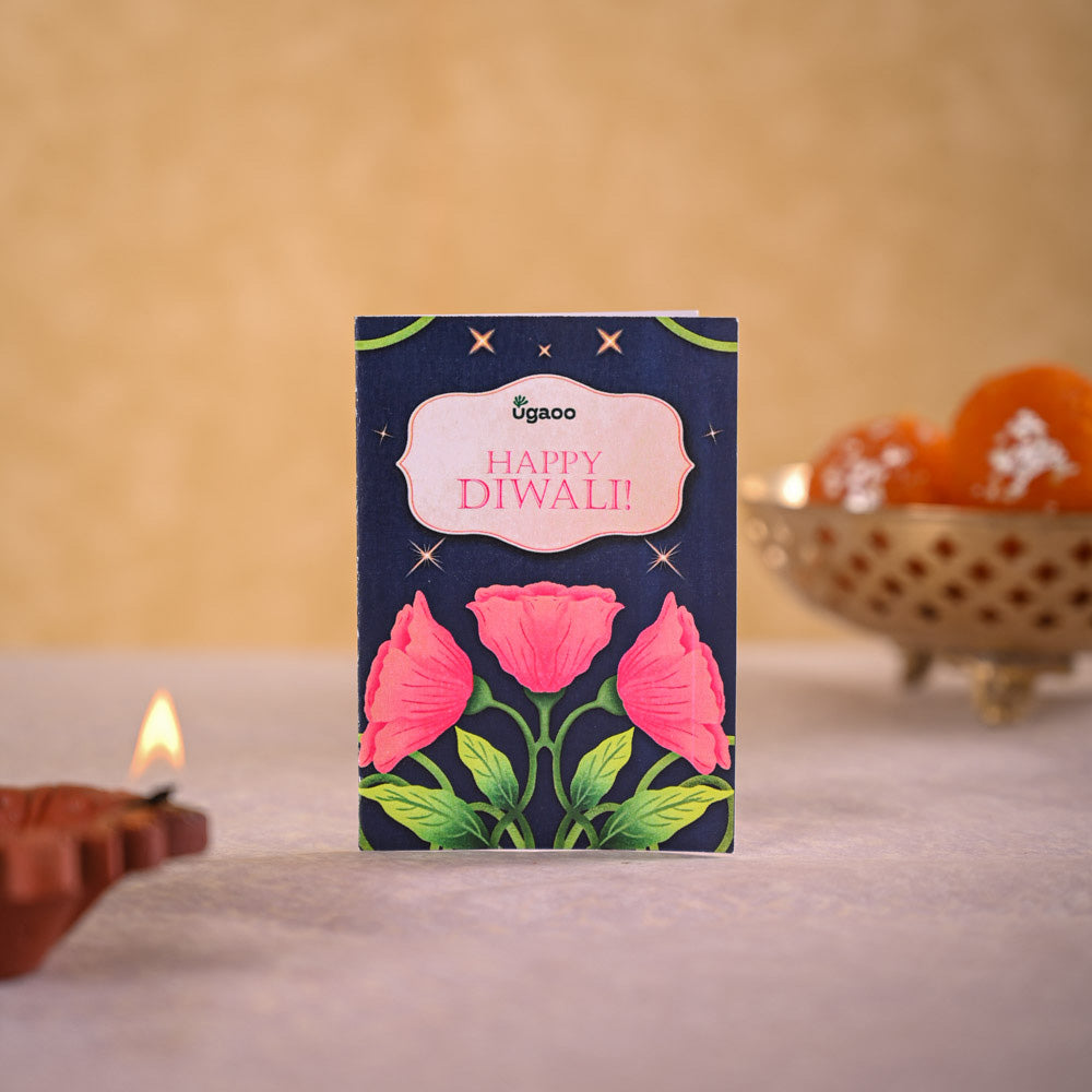 Ugaoo Jade Mini & Nutki Gourmet Nut Mix Diwali Gift Hamper - view 4