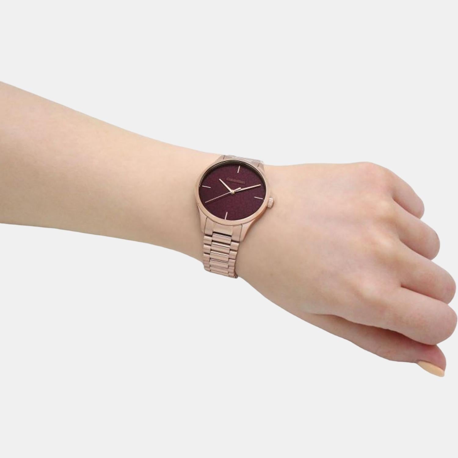 Calvin Klein Ck Iconic Unisex Quartz Brown Dial Analog Stainless Steel Watch 25200169 - view 5