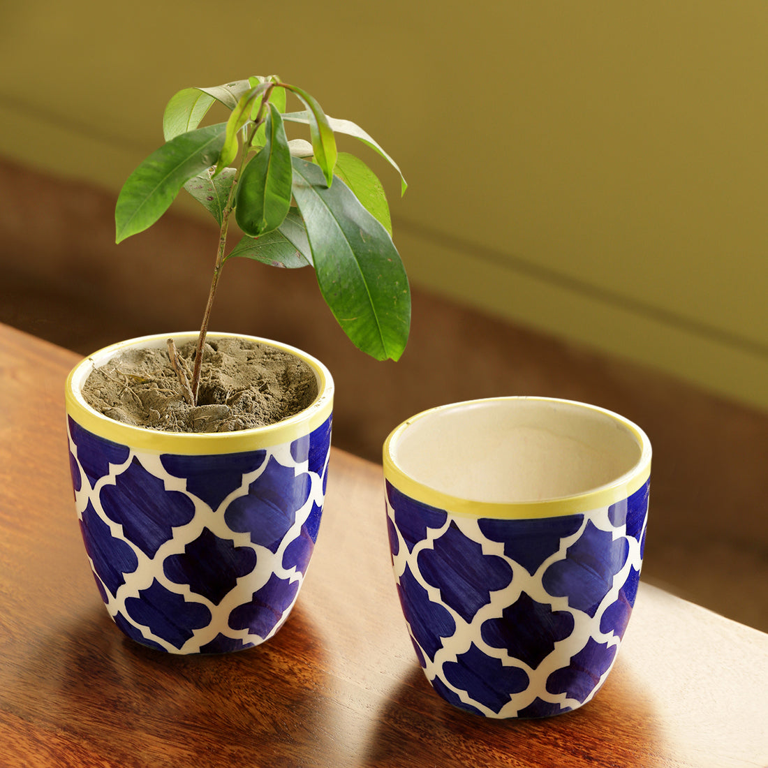 EXCLUSIVELANE 'The Two Morocco Pod' Handpainted Ceramic Planters (Set of 2)