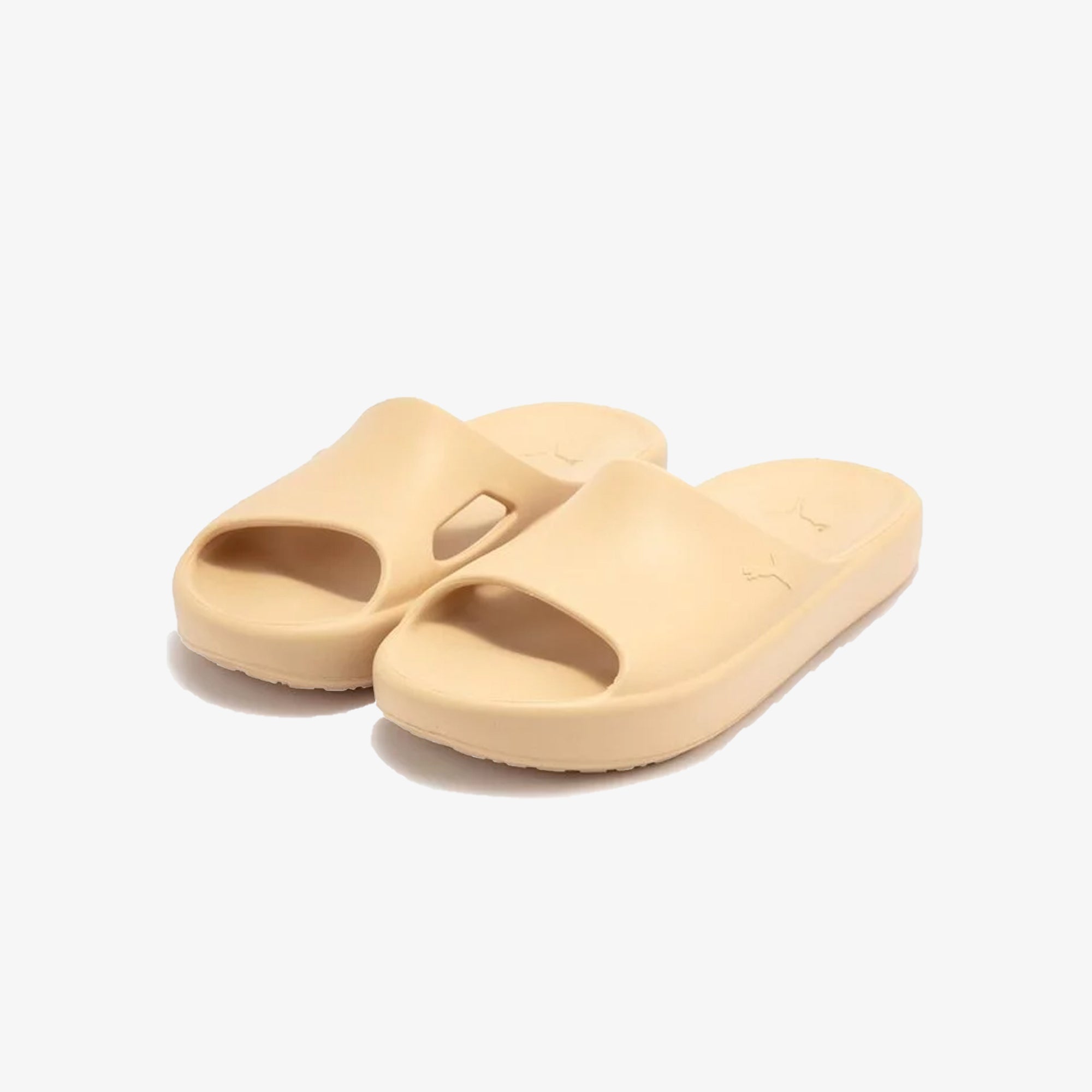 Shibui cat light – Puma | SHIBUI CAT { LIGHT SAND