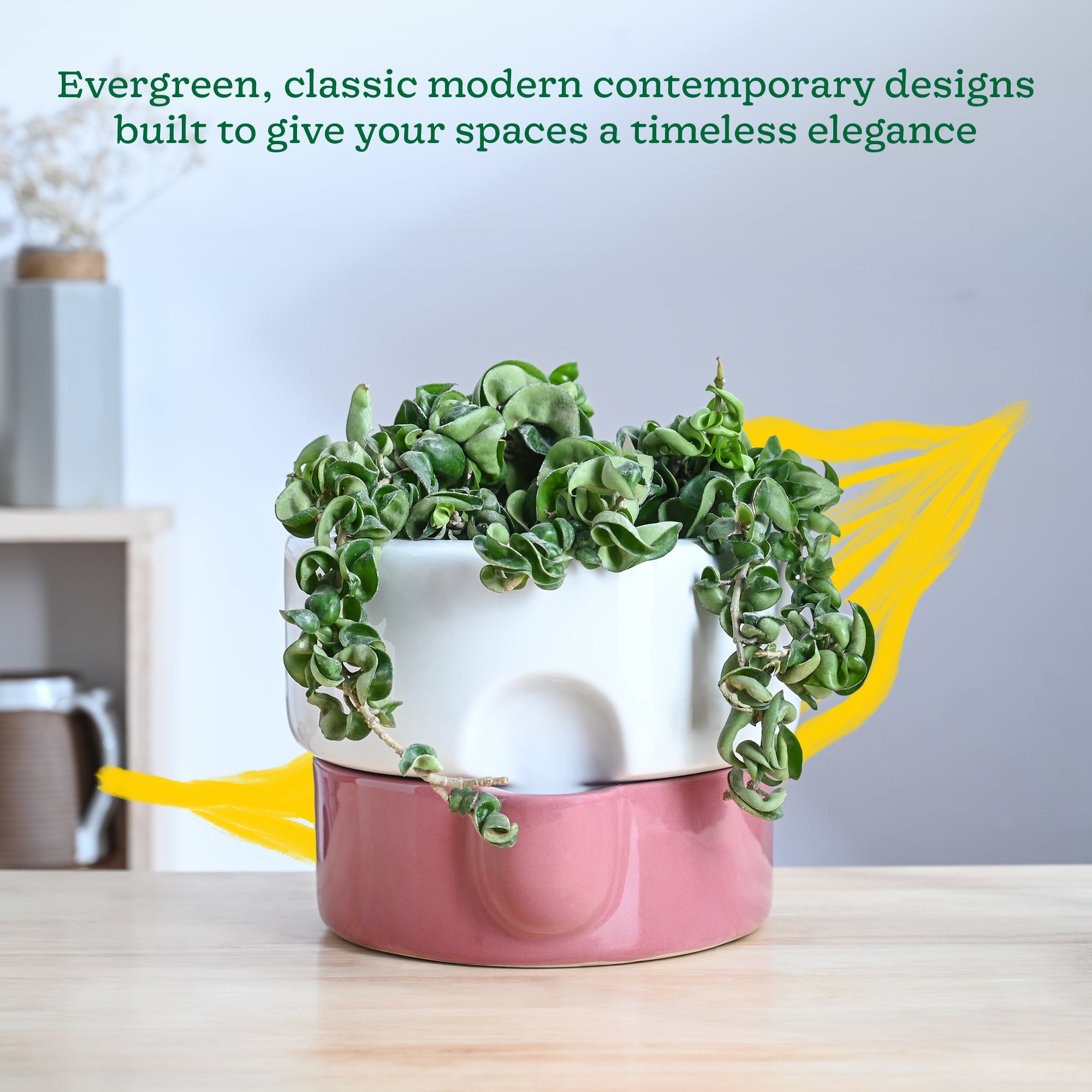 Ugaoo Flower Sunflower Ceramic Planter - view 26