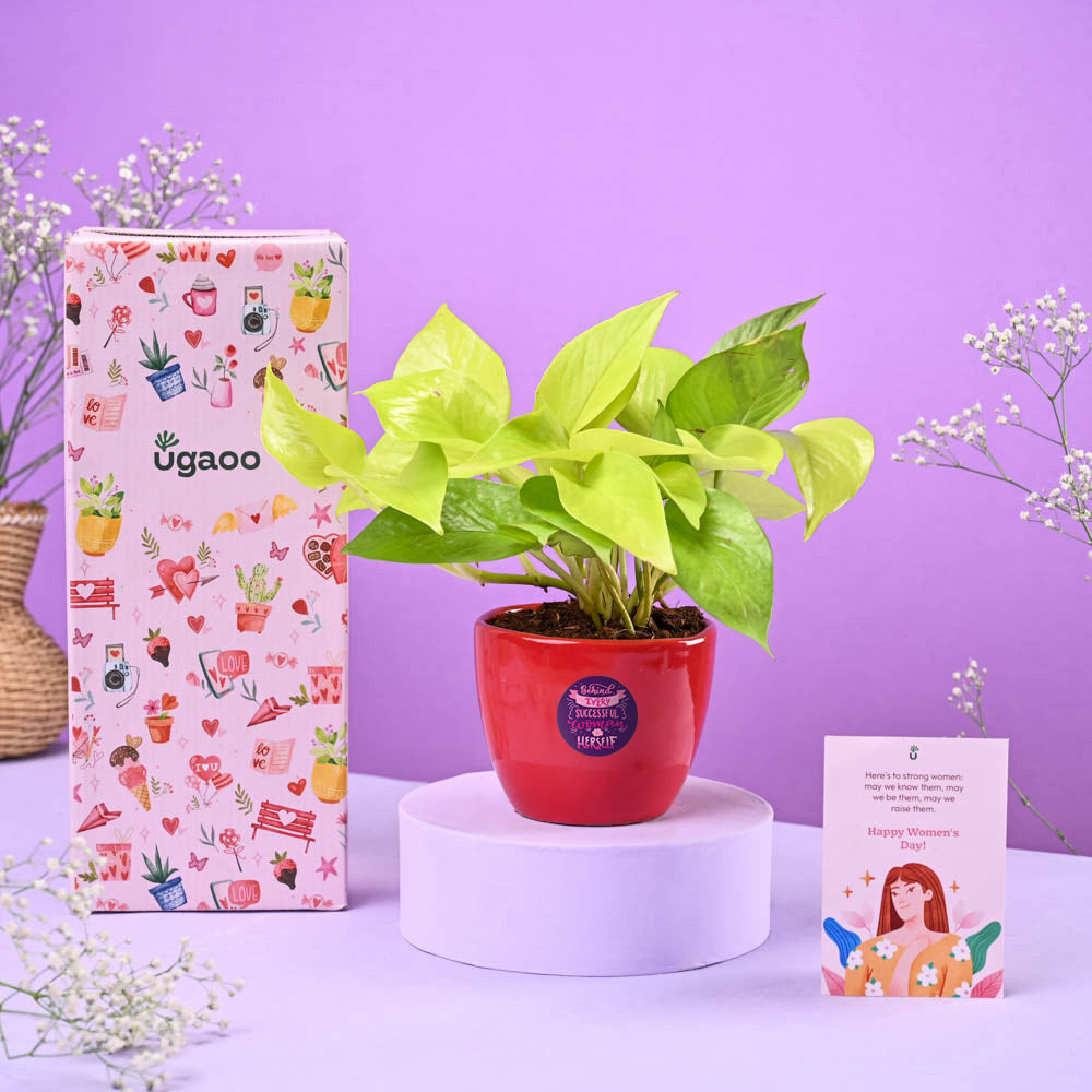 Ugaoo Money Plant Golden Women's Day Gift
