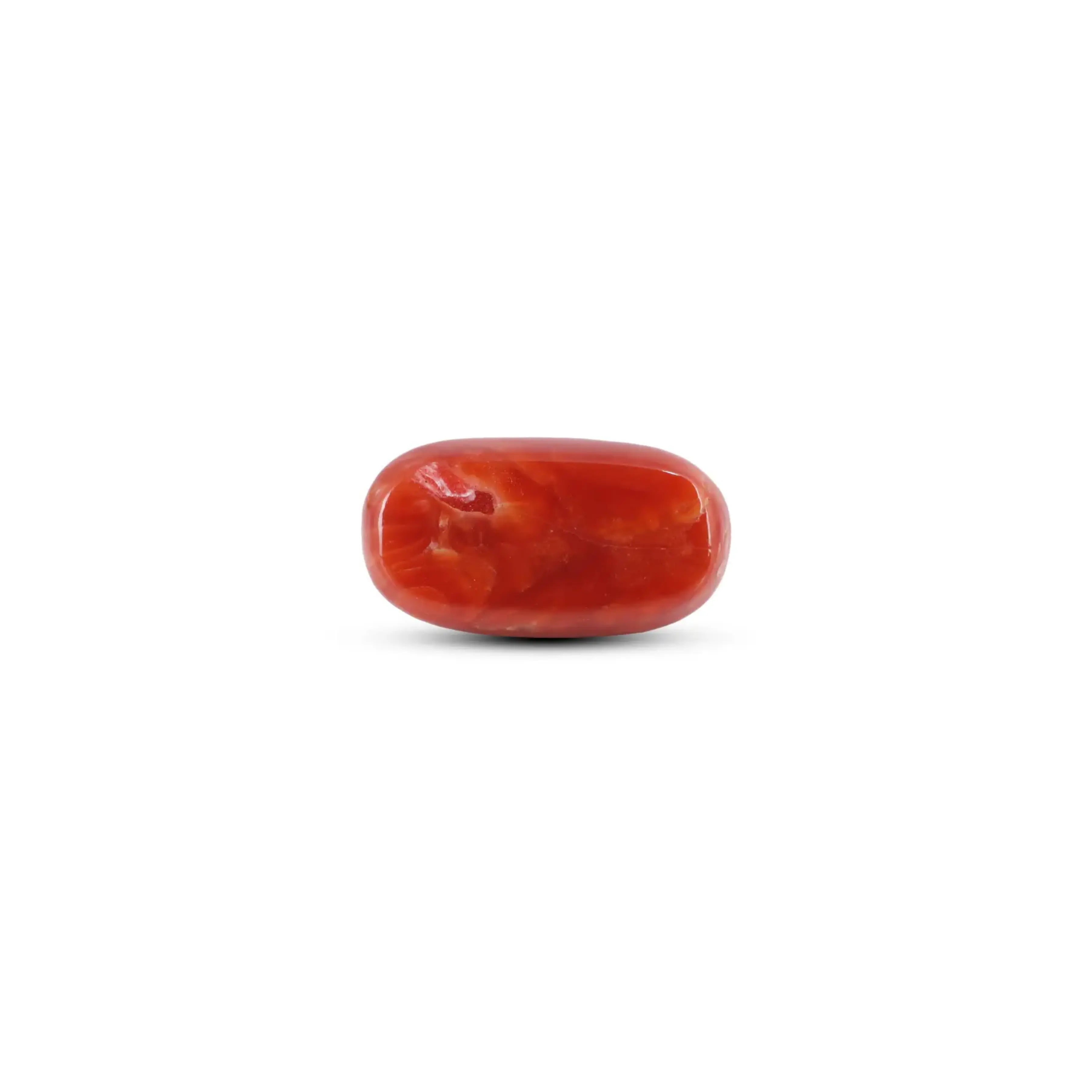 Pramogh Japanese Red Coral - 5.7 Carat - view 2