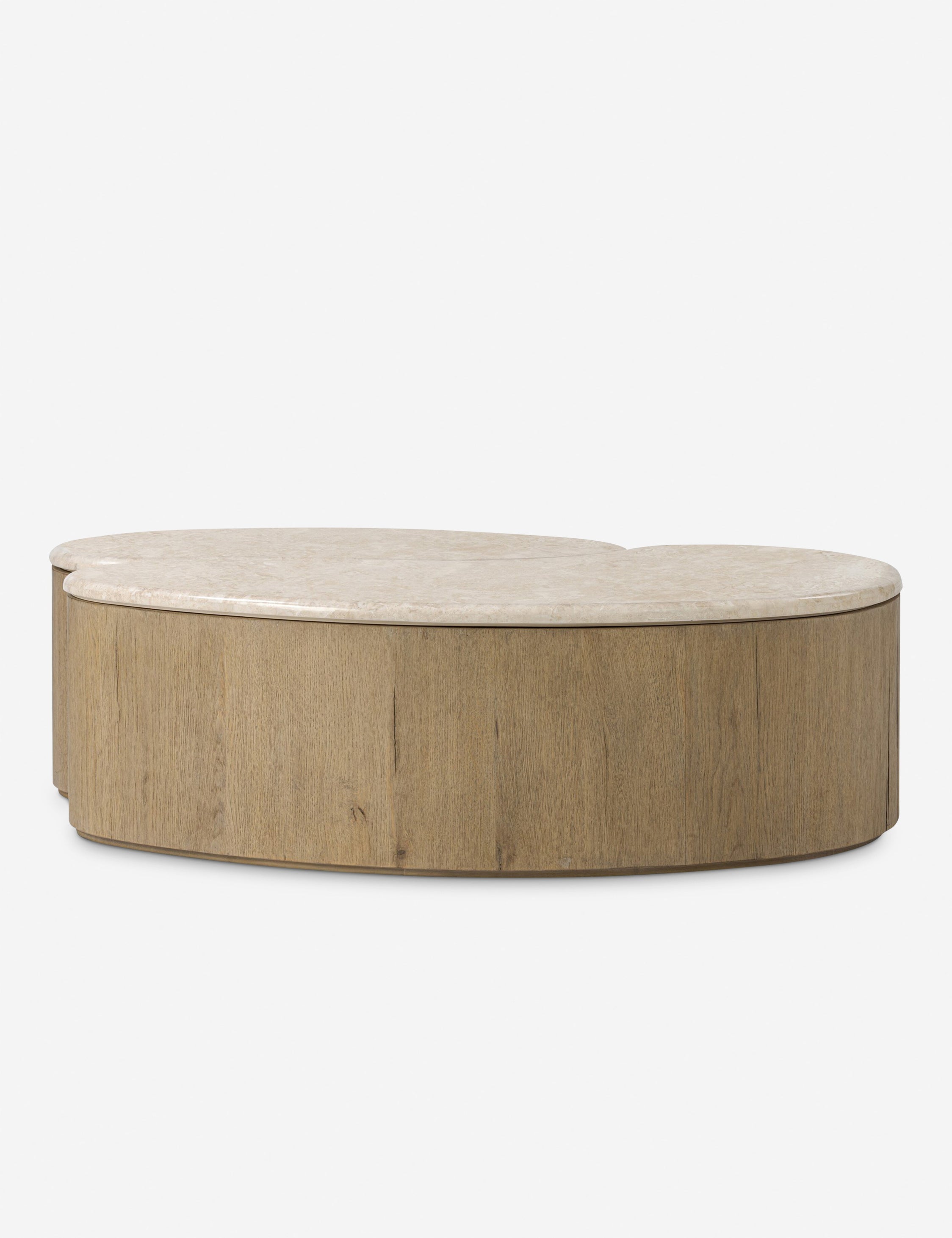 Lulu and Georgia Lazaro Nesting Coffee Table (Set of 2) - view 4
