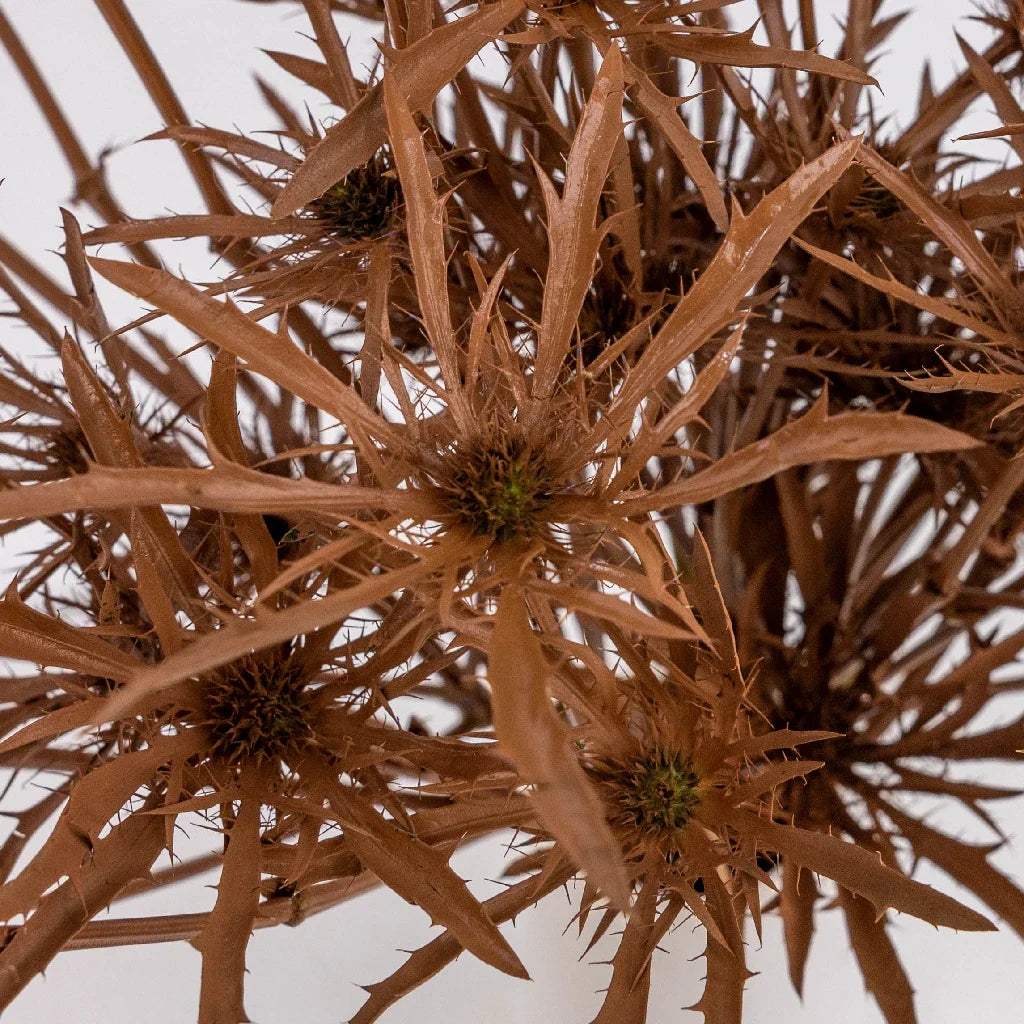 FiftyFlowers Mocha Mousse Thistle Flowers - view 3