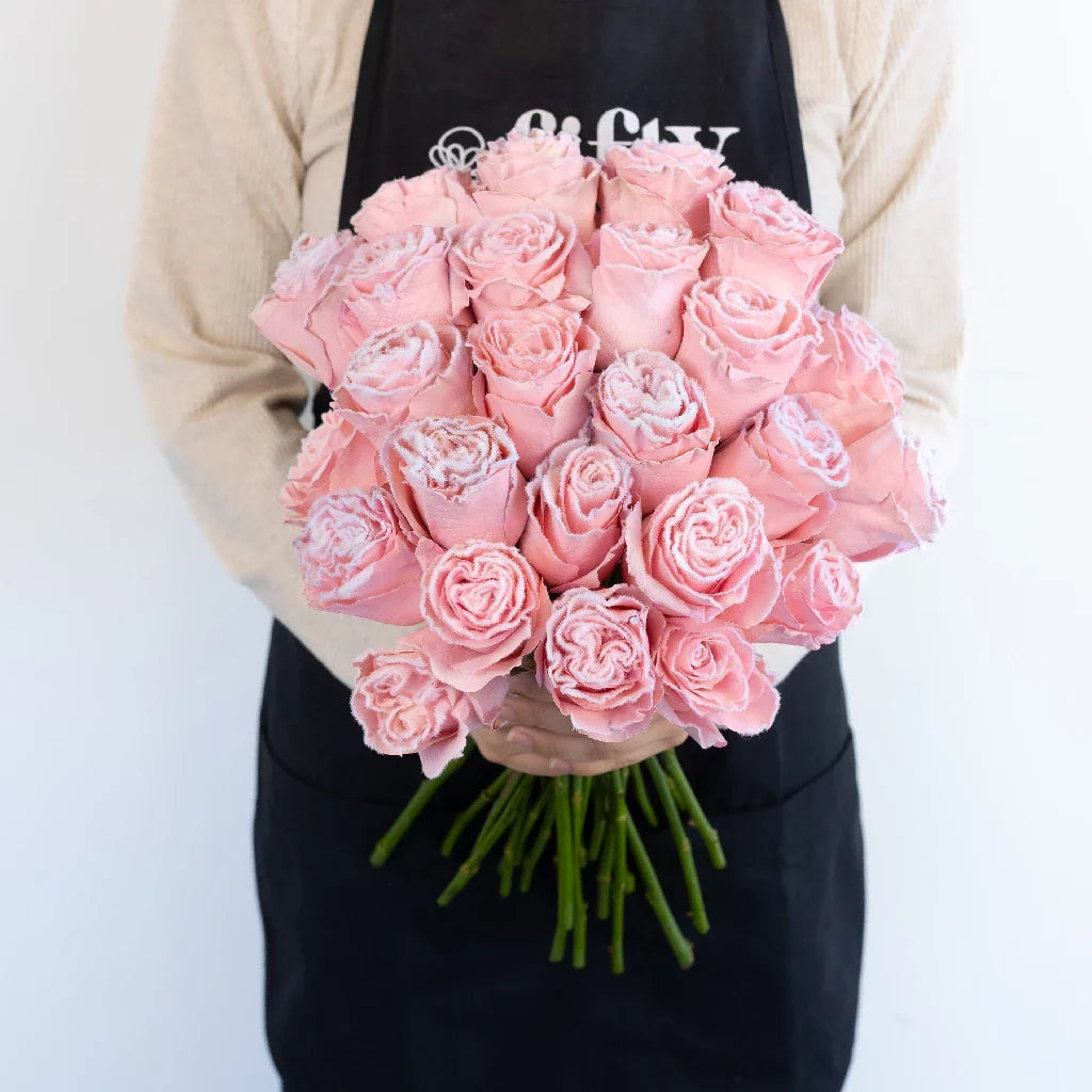 FiftyFlowers Tinted Blush Pink Fuzzy Roses
