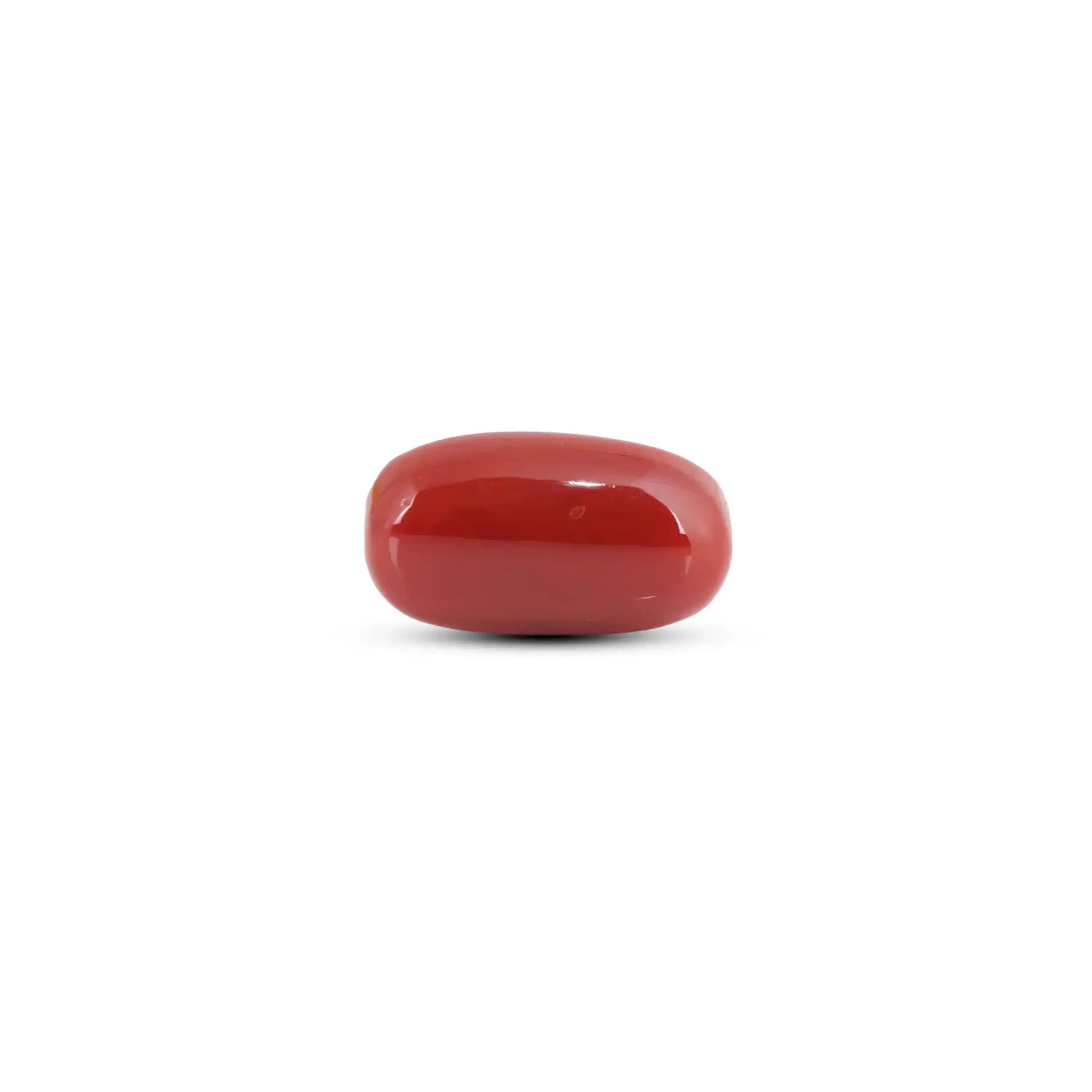 Pramogh Japanese Red Coral - 10.35 Carat