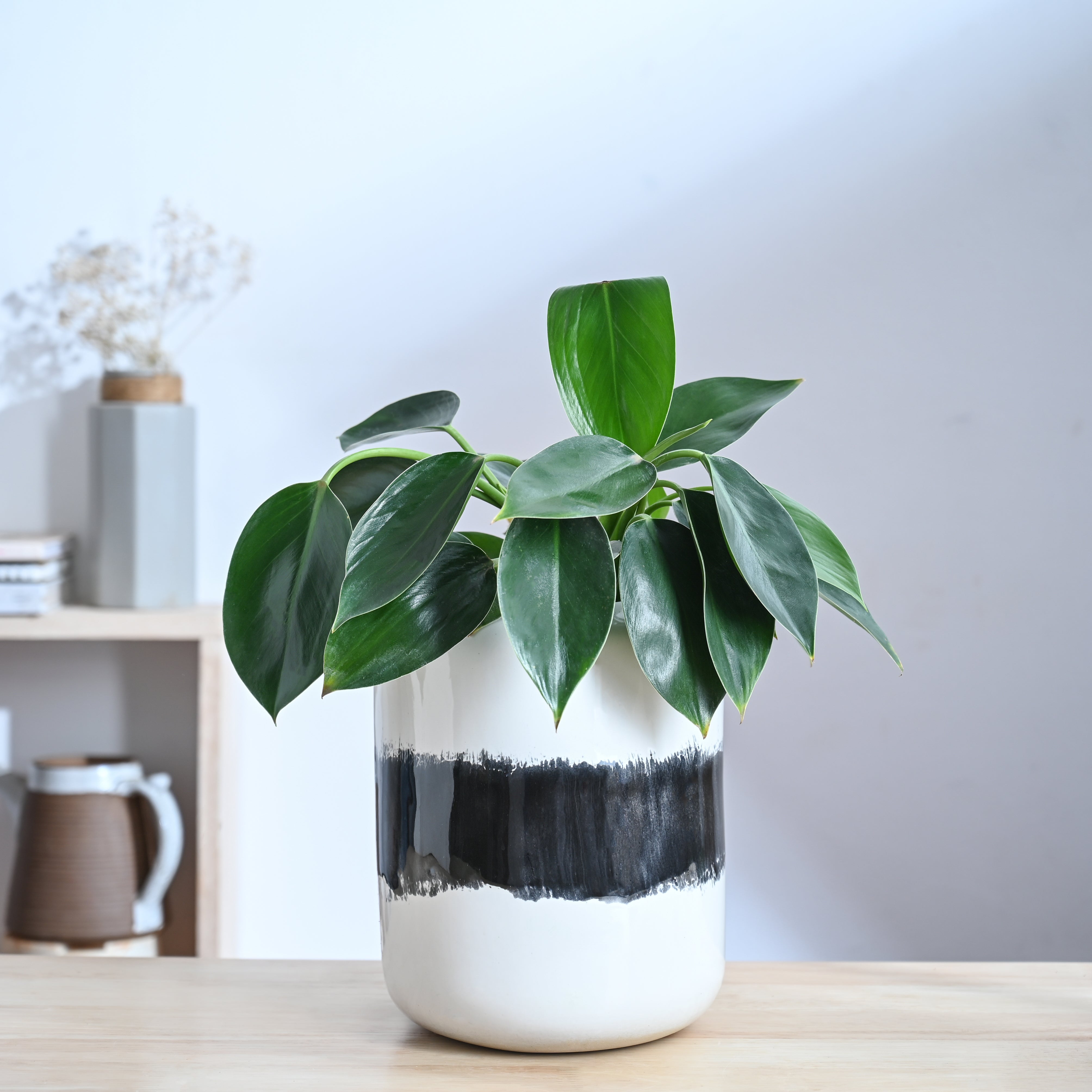 Ugaoo Twilight Clouds Ceramic Planter