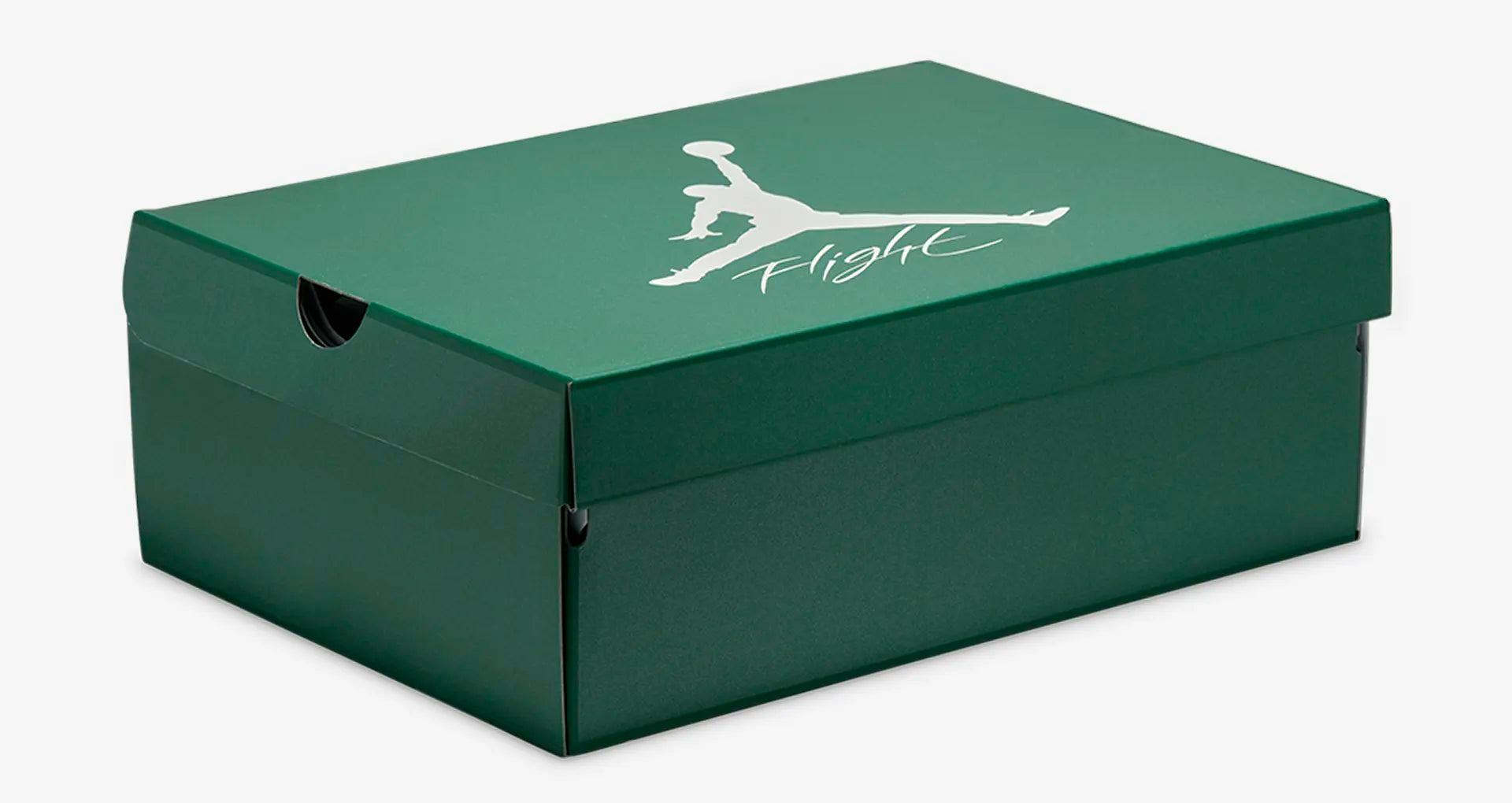 Cop Underdog Air Jordan 4 'Oxidized Green' - view 5