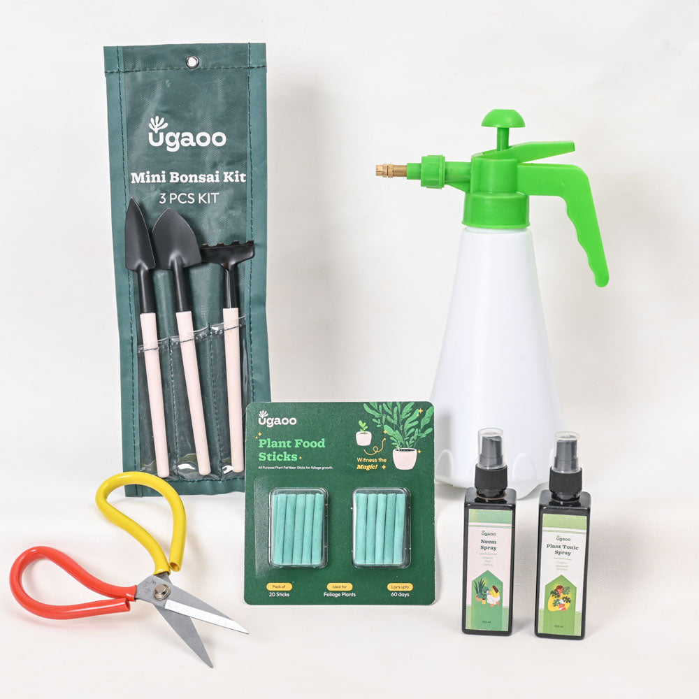 Ugaoo Indoor Gardening Kit