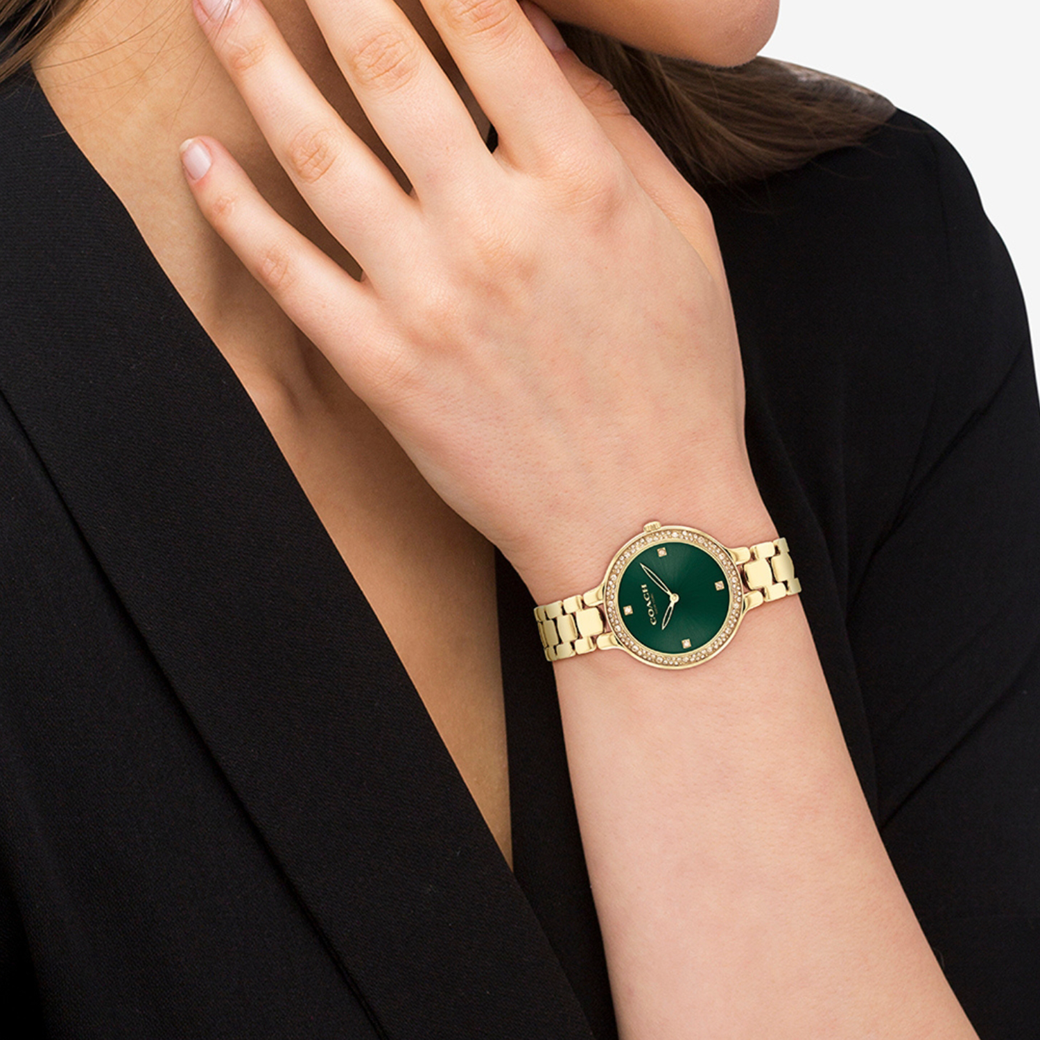 Coach Chelsea Women Quartz Green Dial Analog Stainless Steel Watch 14504251 - view 4