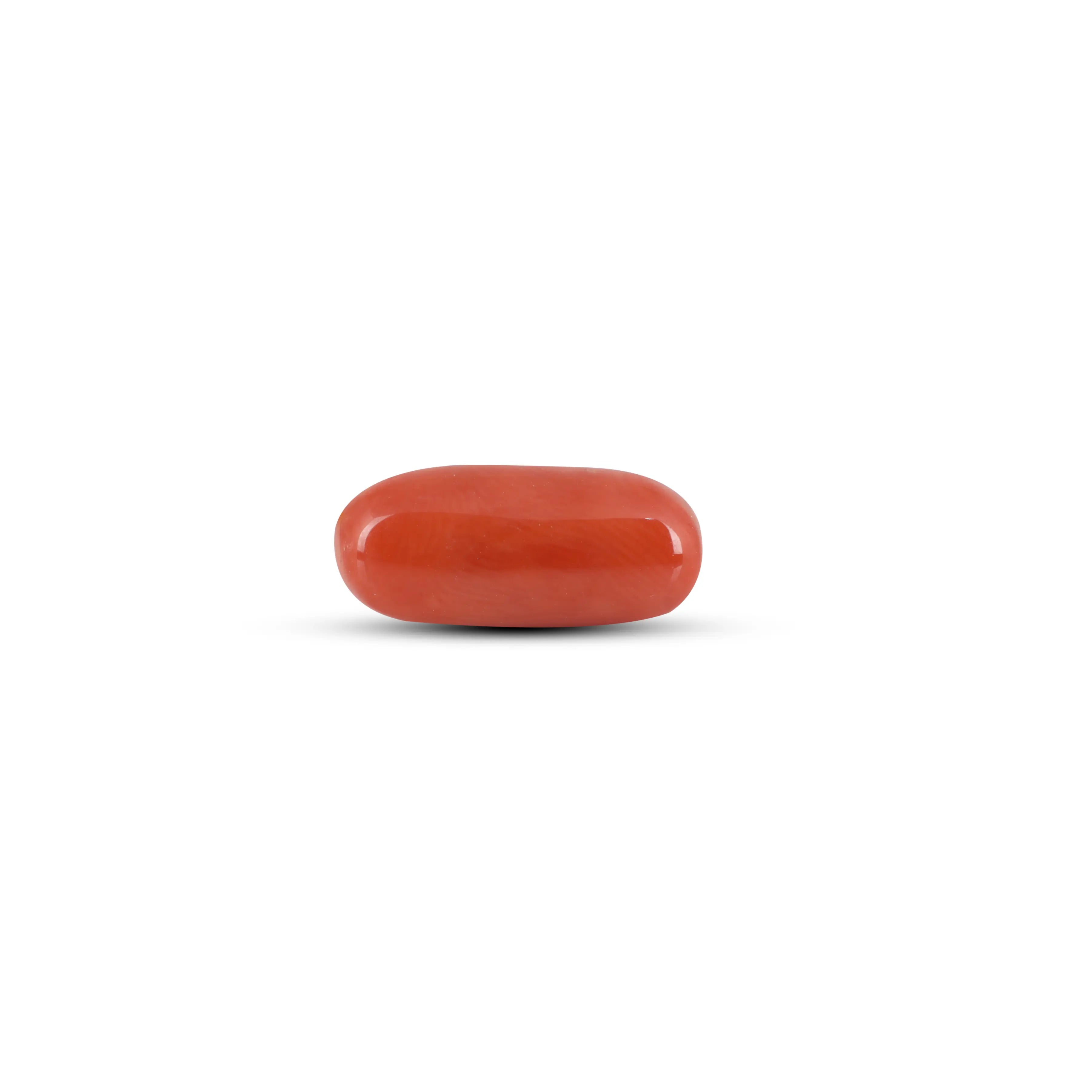 Pramogh Red Coral - 6.7 Carat