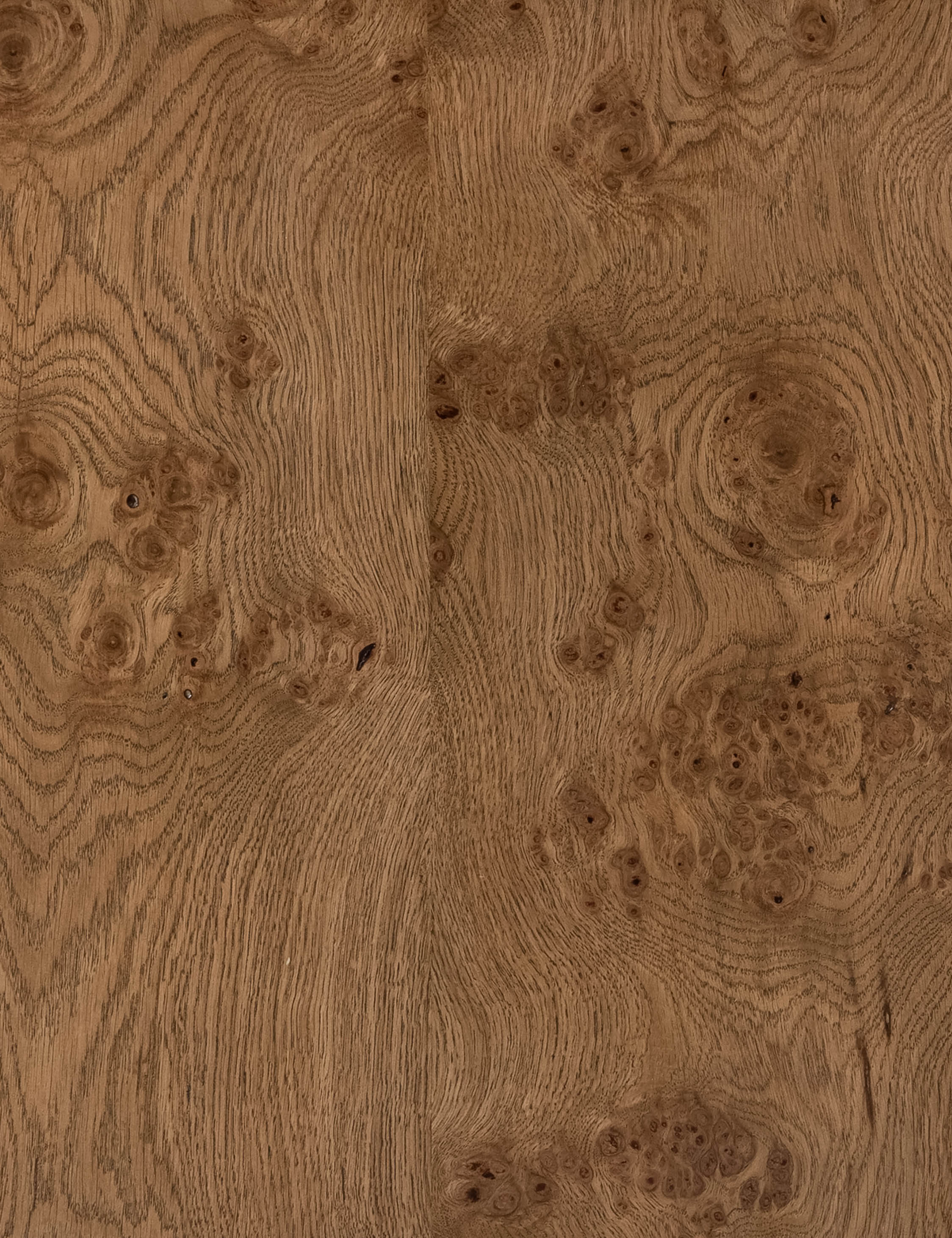 Lulu and Georgia Howard Side Table – Natural Burl - view 9