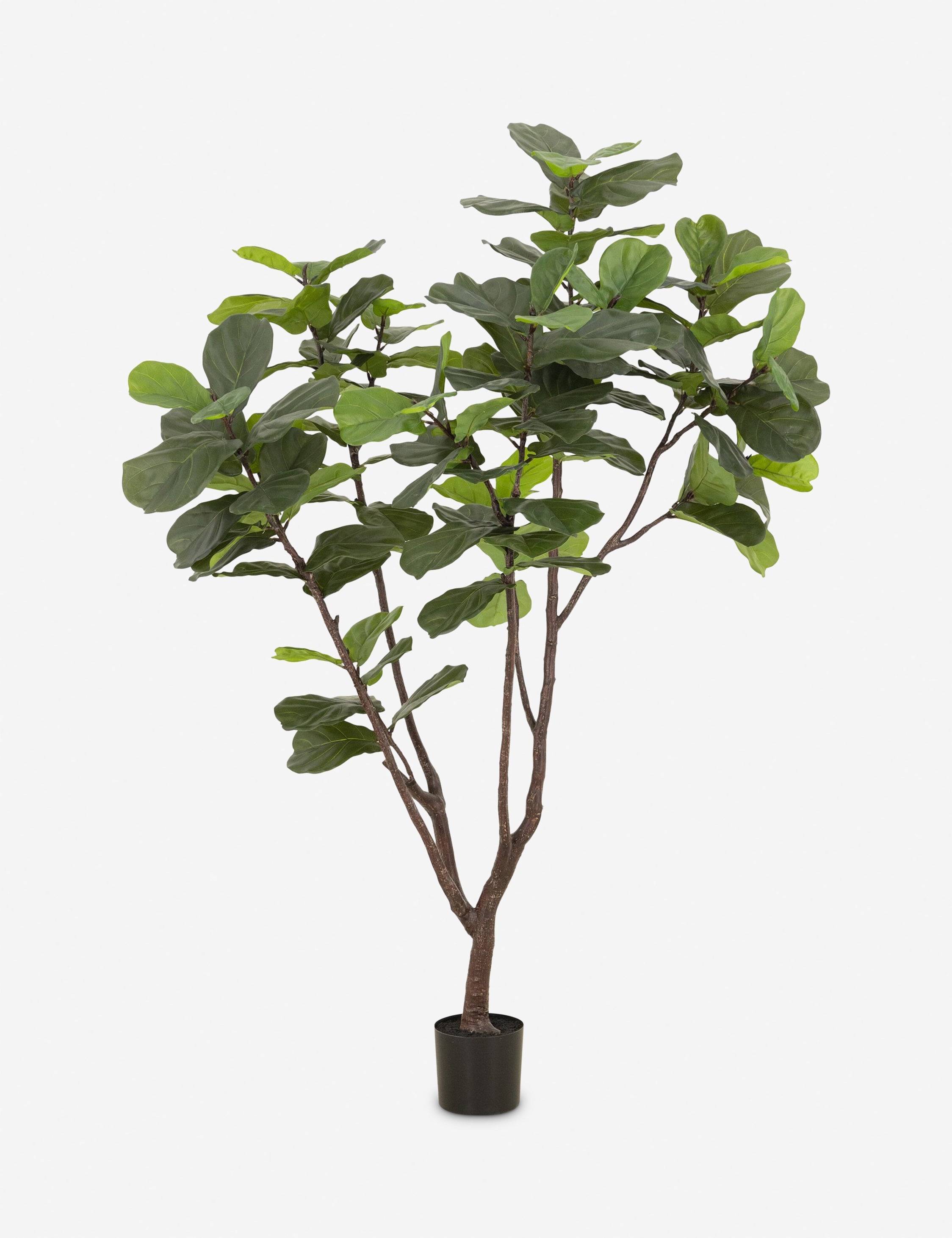 Lulu and Georgia Faux Fiddle Leaf Tree