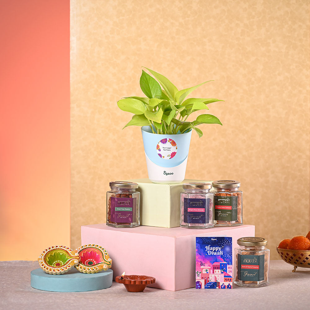 Ugaoo Money Plant Golden & Nutki Diwali Gift Hamper