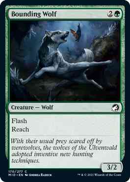 Bounding wolf 170 – Magic Bounding Wolf [170] [Innistrad: Midnight Hunt] [Non-Foil]