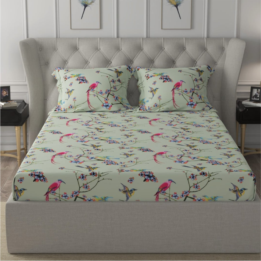 Urban Space -Home Furnishing Store Fitted King Size Cotton Bedsheet - Sparrow Mint Green - view 2
