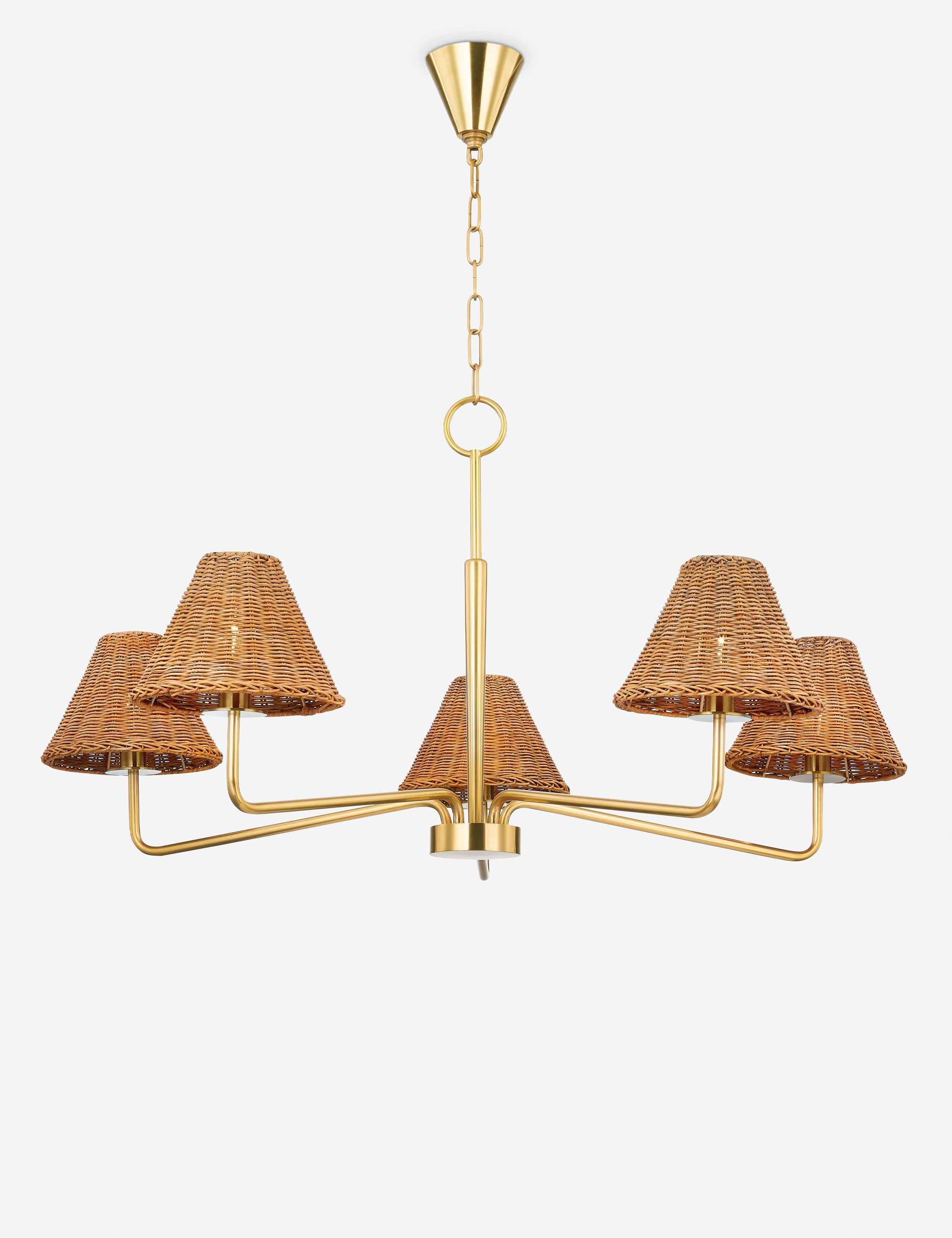 Lulu and Georgia Teressa Chandelier