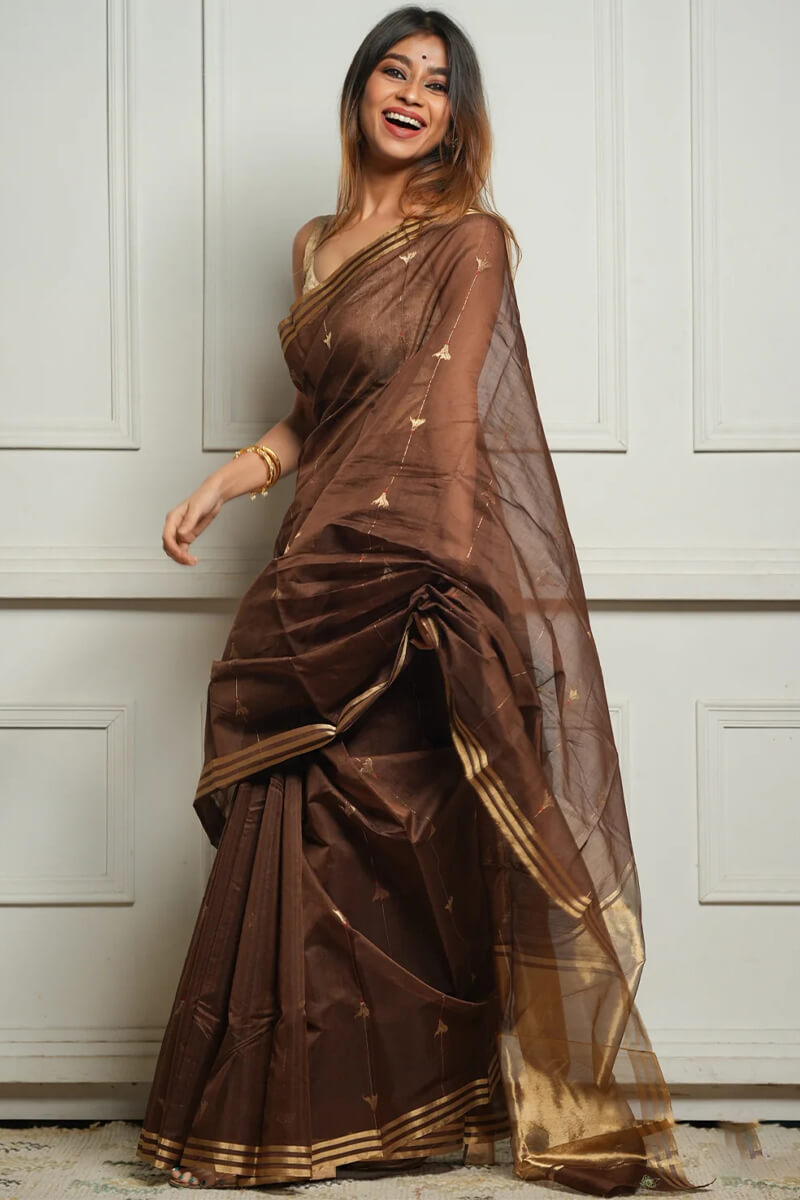 Aayna Embellished Brown Cotton Silk Saree With Felicitous Blouse Piece - view 5