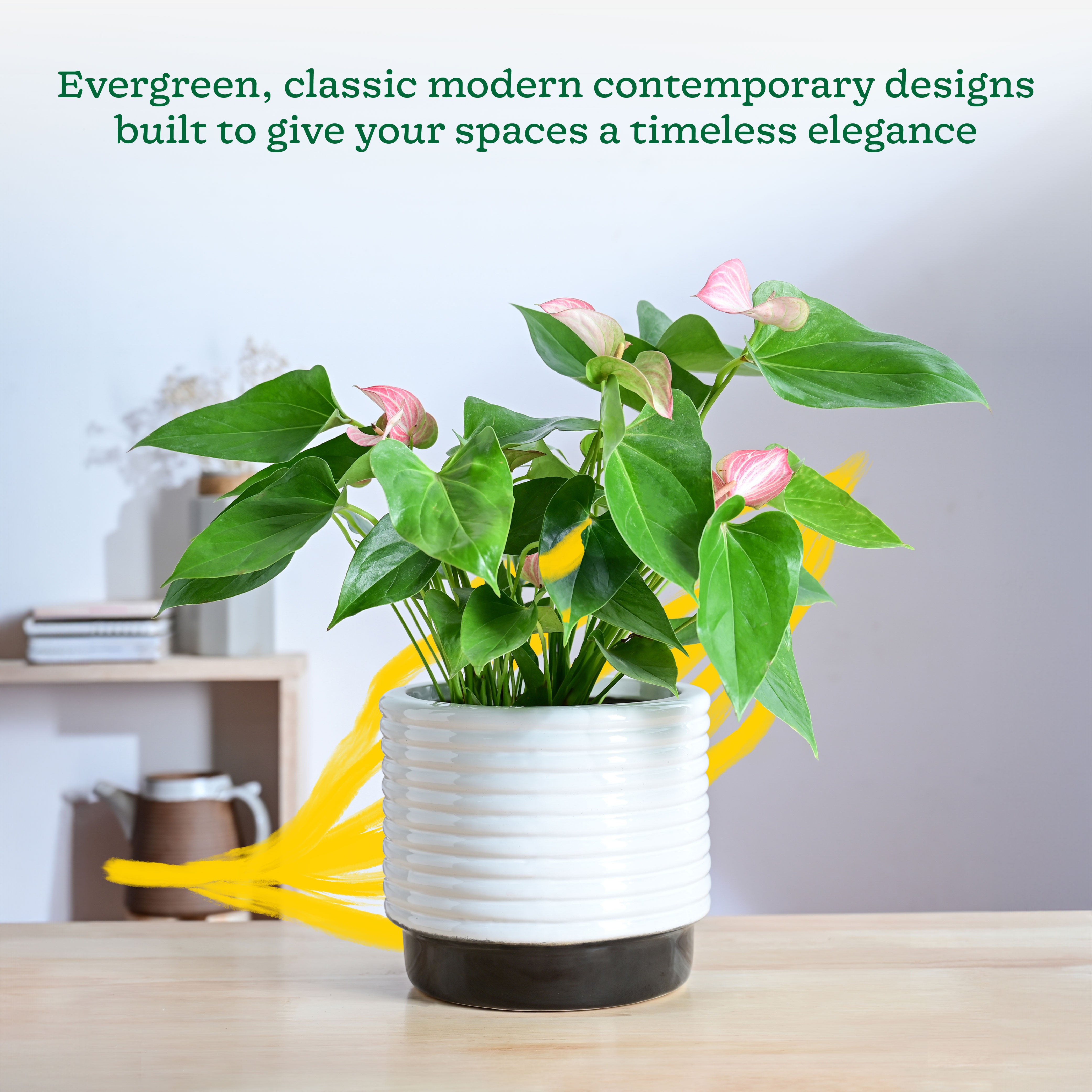 Ugaoo Untold stories Ceramic Planter - view 2