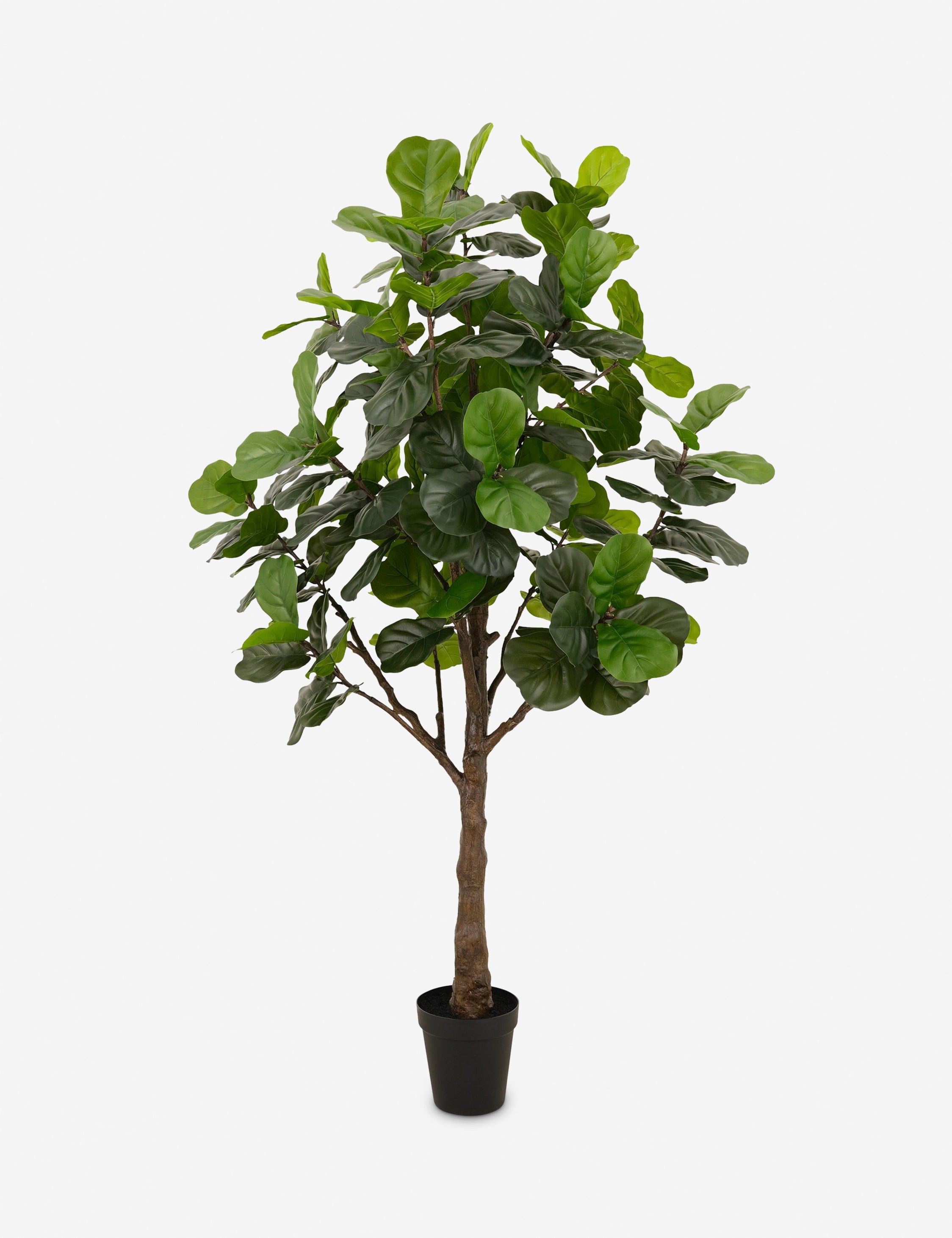 Lulu and Georgia Faux Fiddle Leaf Tree - view 2