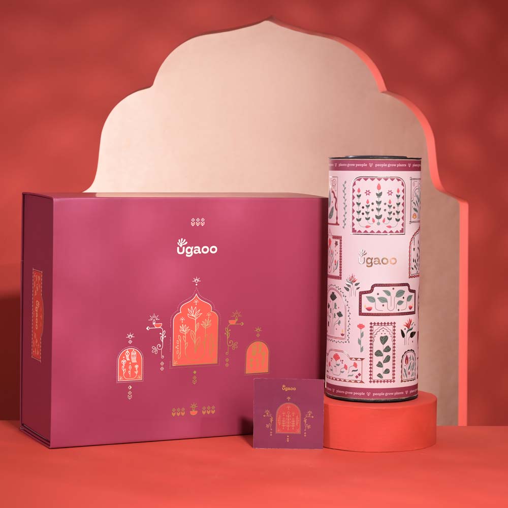 Ugaoo Abundance & Joy Diwali Gift Hamper - view 7