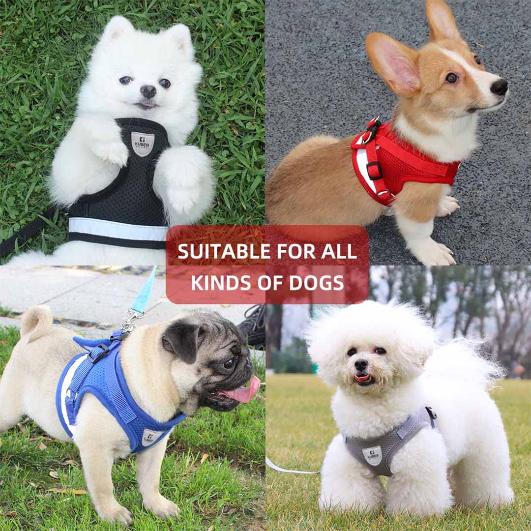 Urbane Home Homestic Reflective Dog Harness with Adjustable Leash|Breathable Polyester Mesh Fabric |XL Size|HT-844|Comfortable No-Pull Grip|Quick Rele - view 7