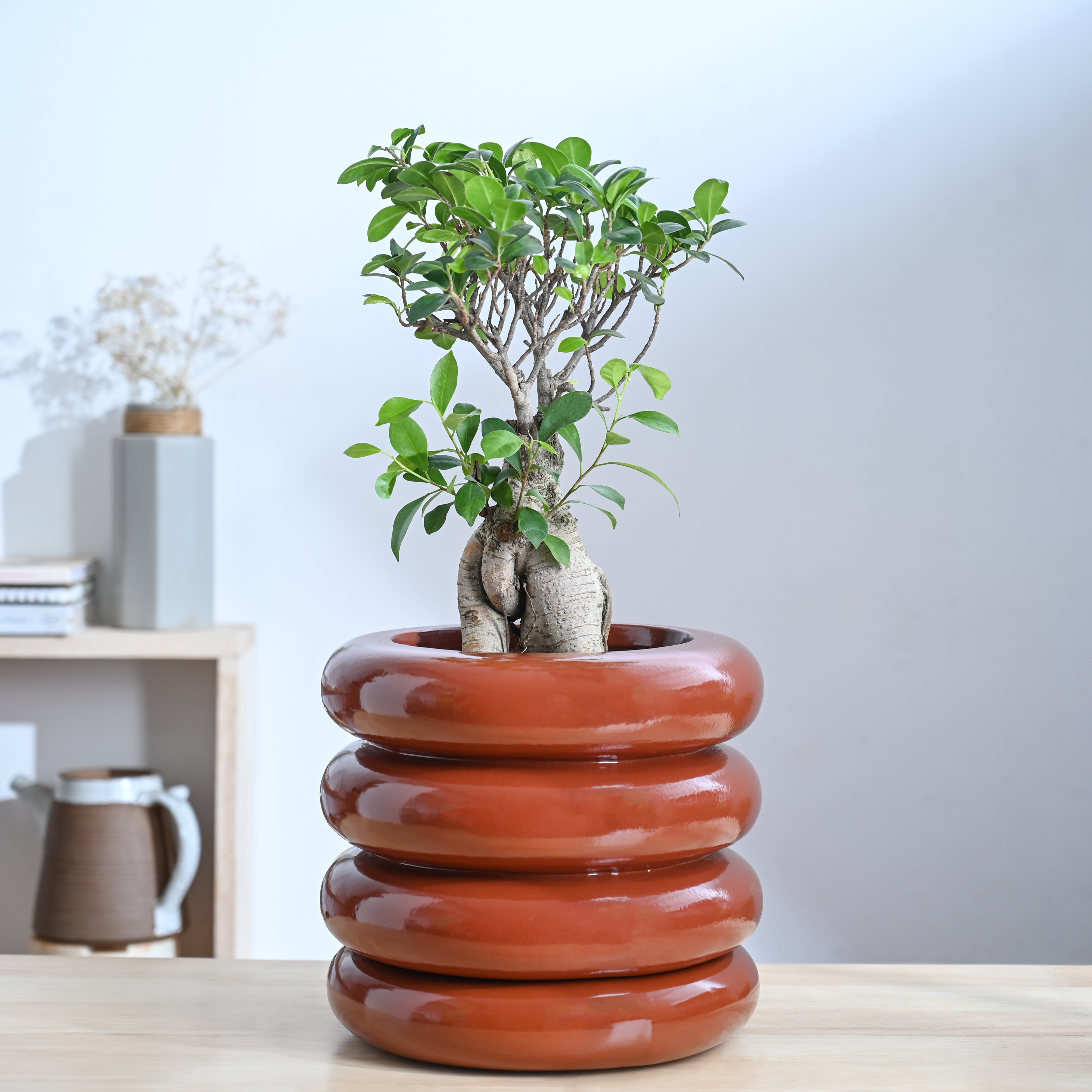 Ugaoo Tiny Kisses Ceramic Planter - view 33
