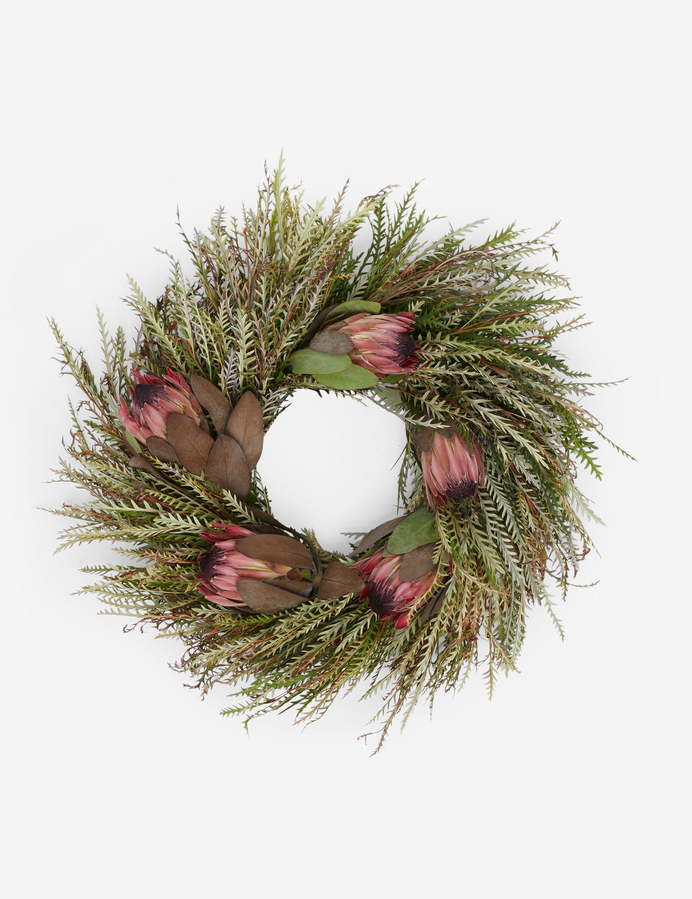 Lulu and Georgia Fresh Handmade Grevillea and Pink Ice Protea Wreath