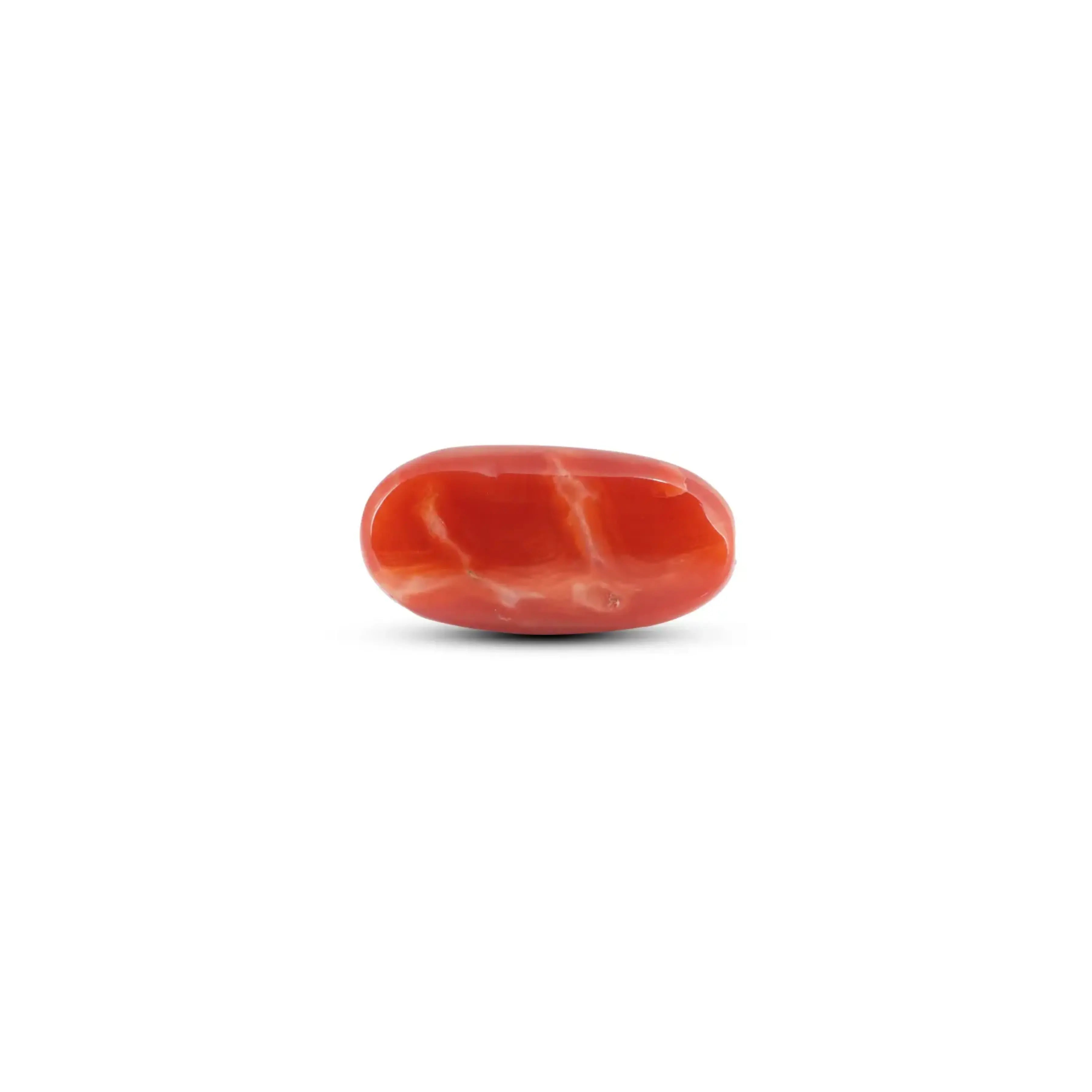 Pramogh Japanese Red Coral - 5.9 Carat - view 2