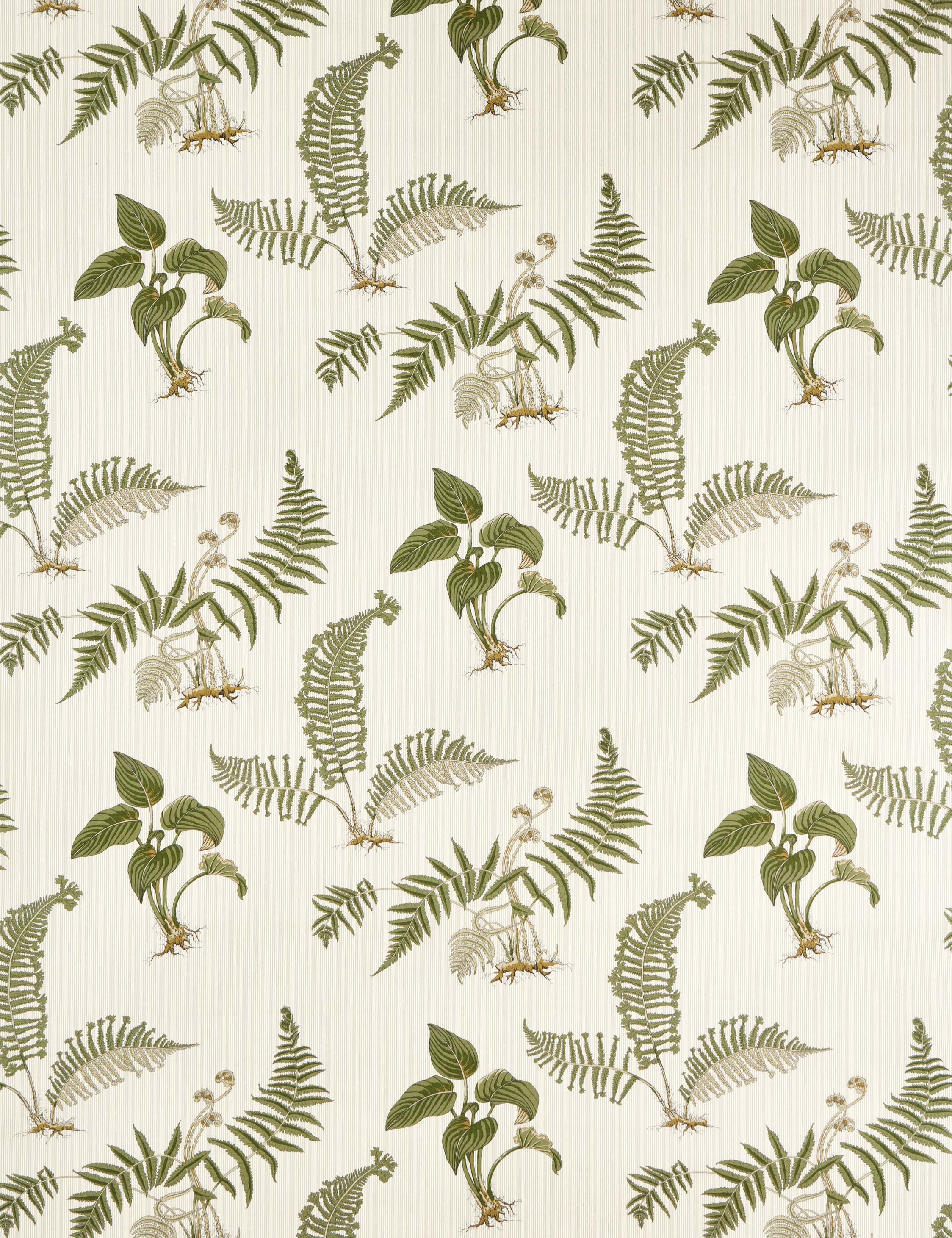 Hosta fern fabric – Lulu and Georgia Hosta & Fern Fabric by Sanderson