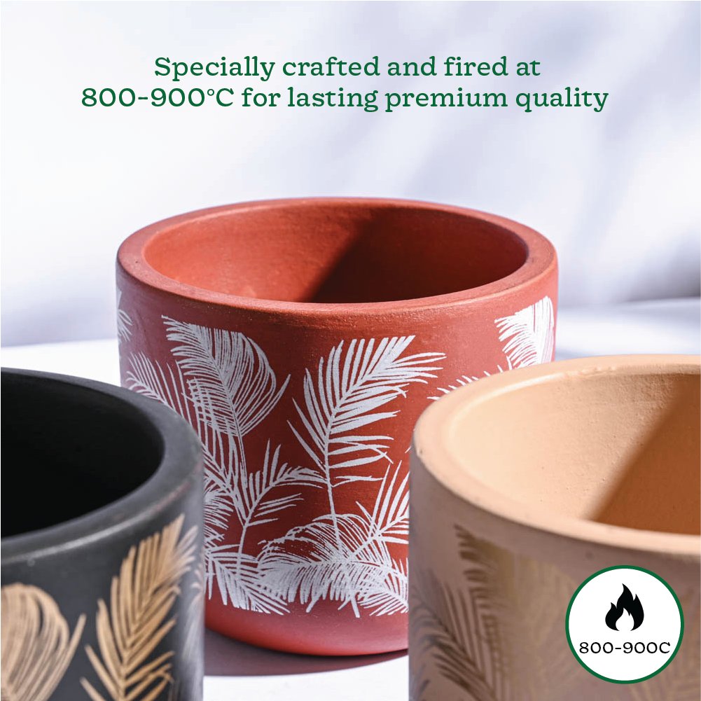 Ugaoo Sienna Terracotta Pots - Set of 3 - view 4