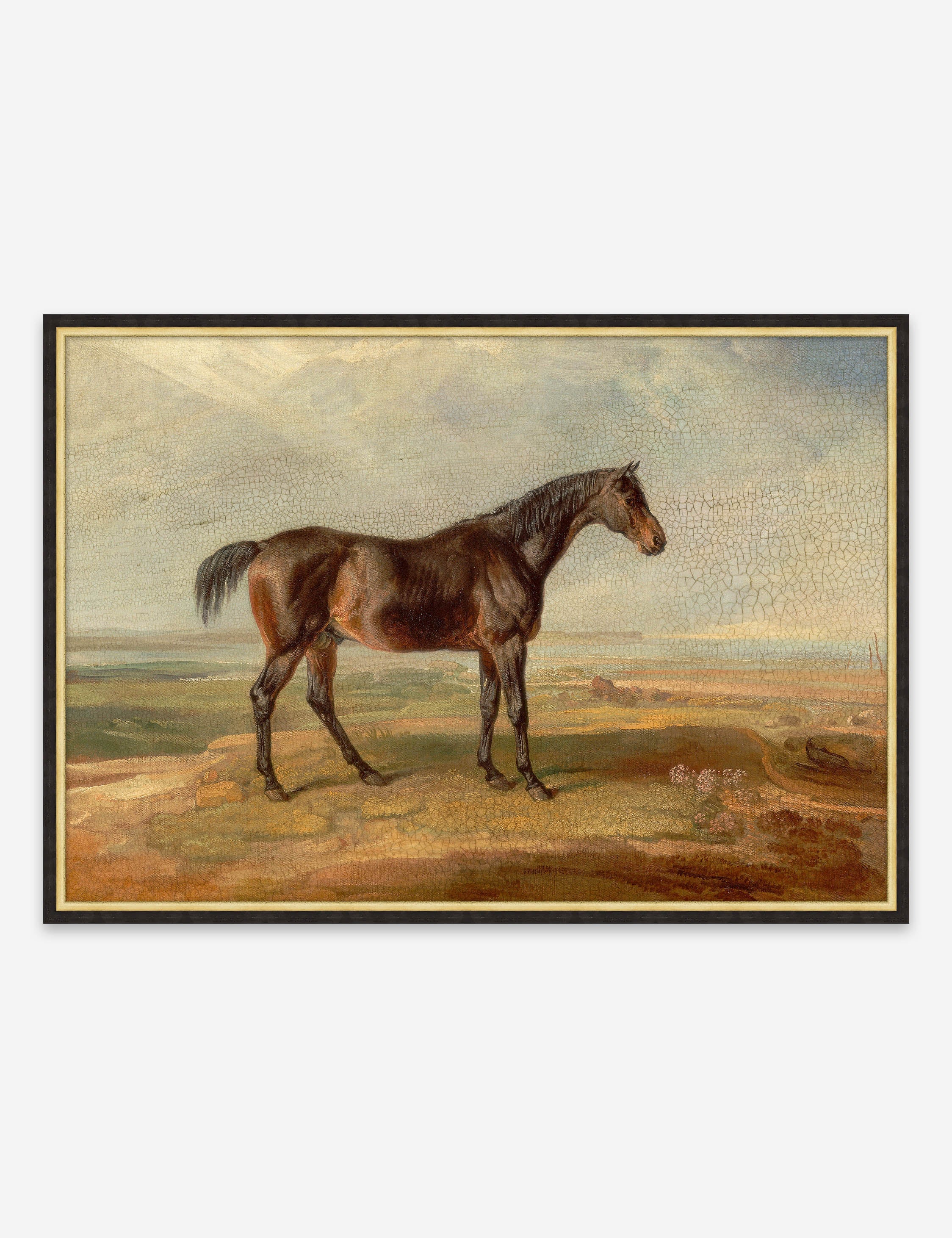 Lulu and Georgia Antiqued Horse I Wall Art