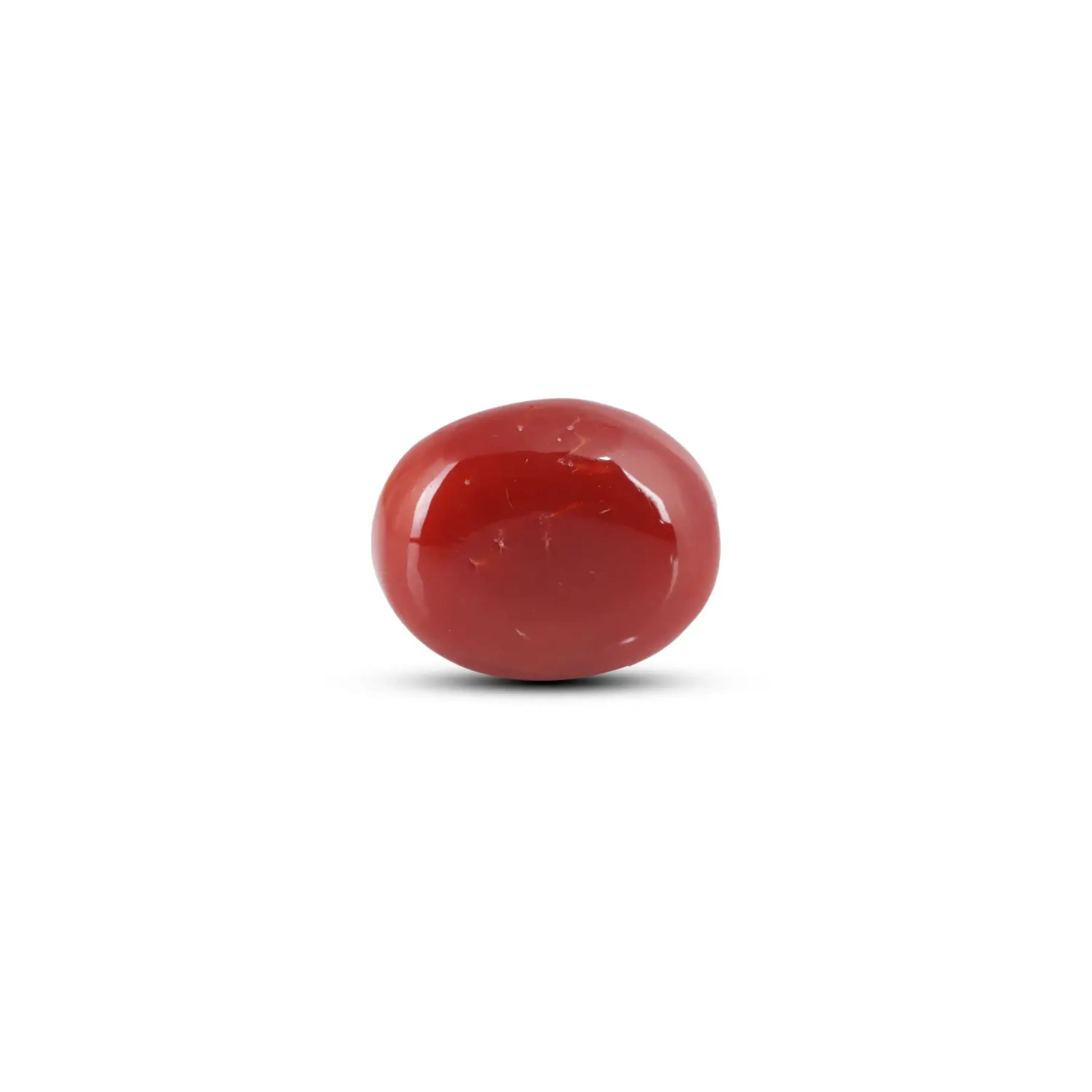 Pramogh Japanese Red Coral - 6 Carat - view 2