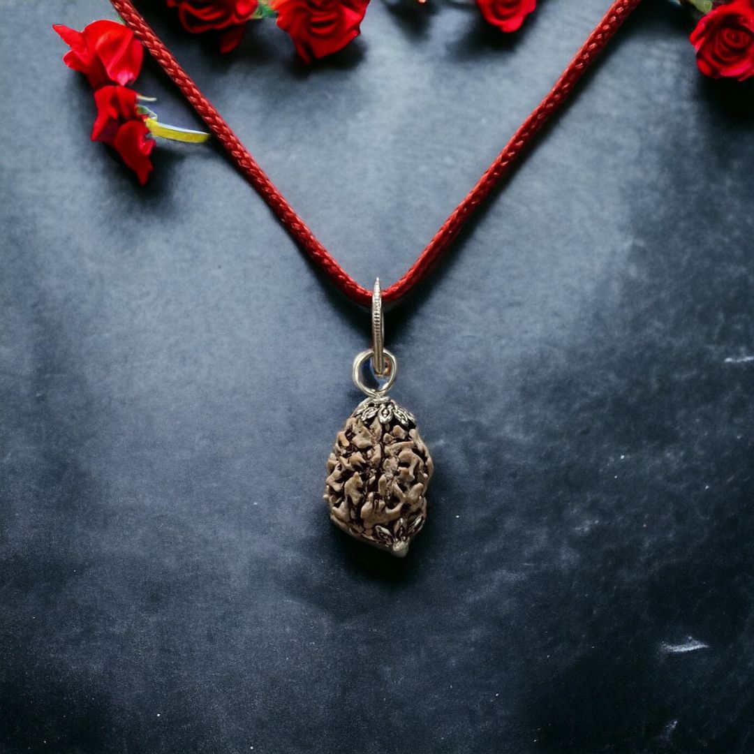 Soultheory Natural 3 Mukhi Nepali Rudraksha - Teen Mukhi