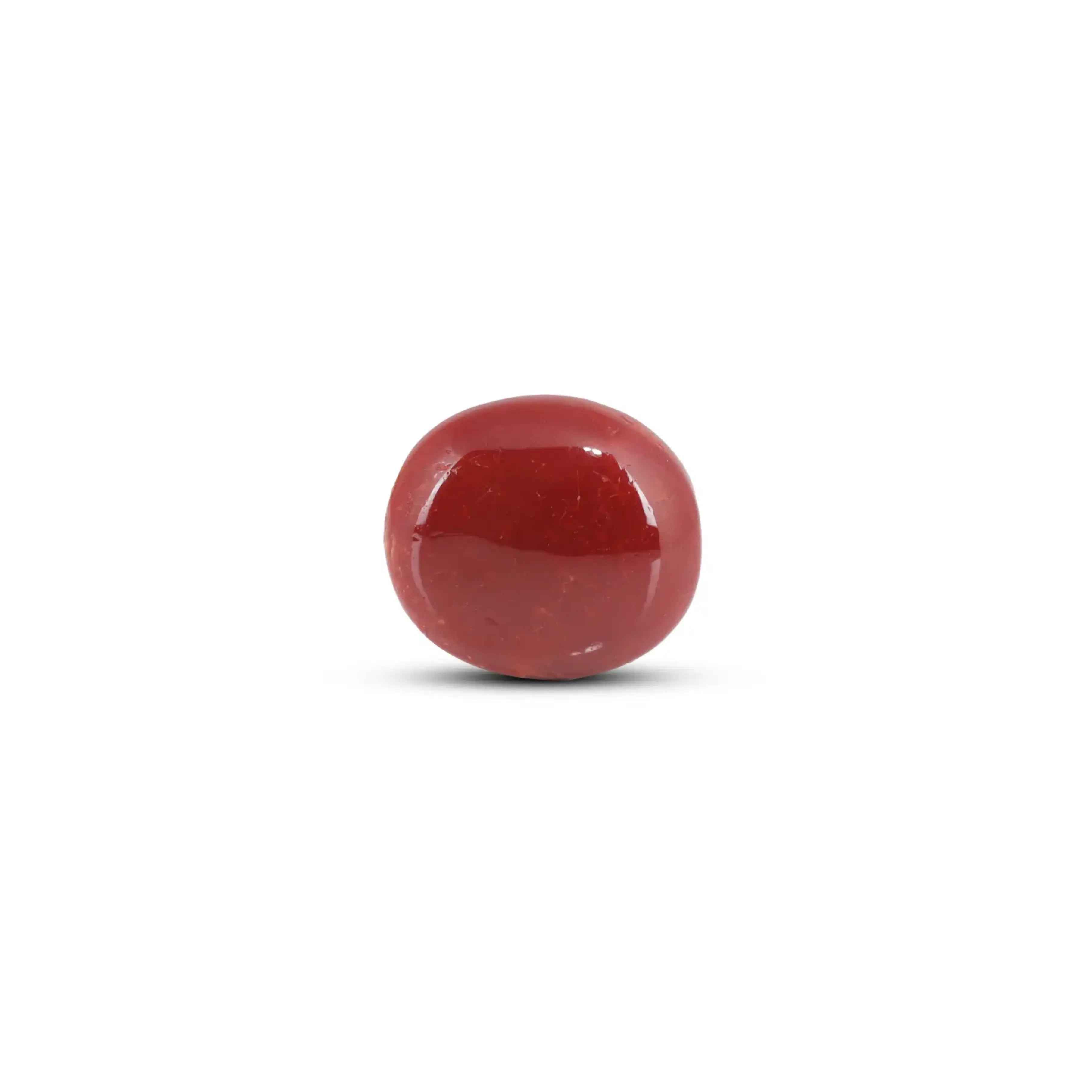 Pramogh Japanese Red Coral - 9 Carat