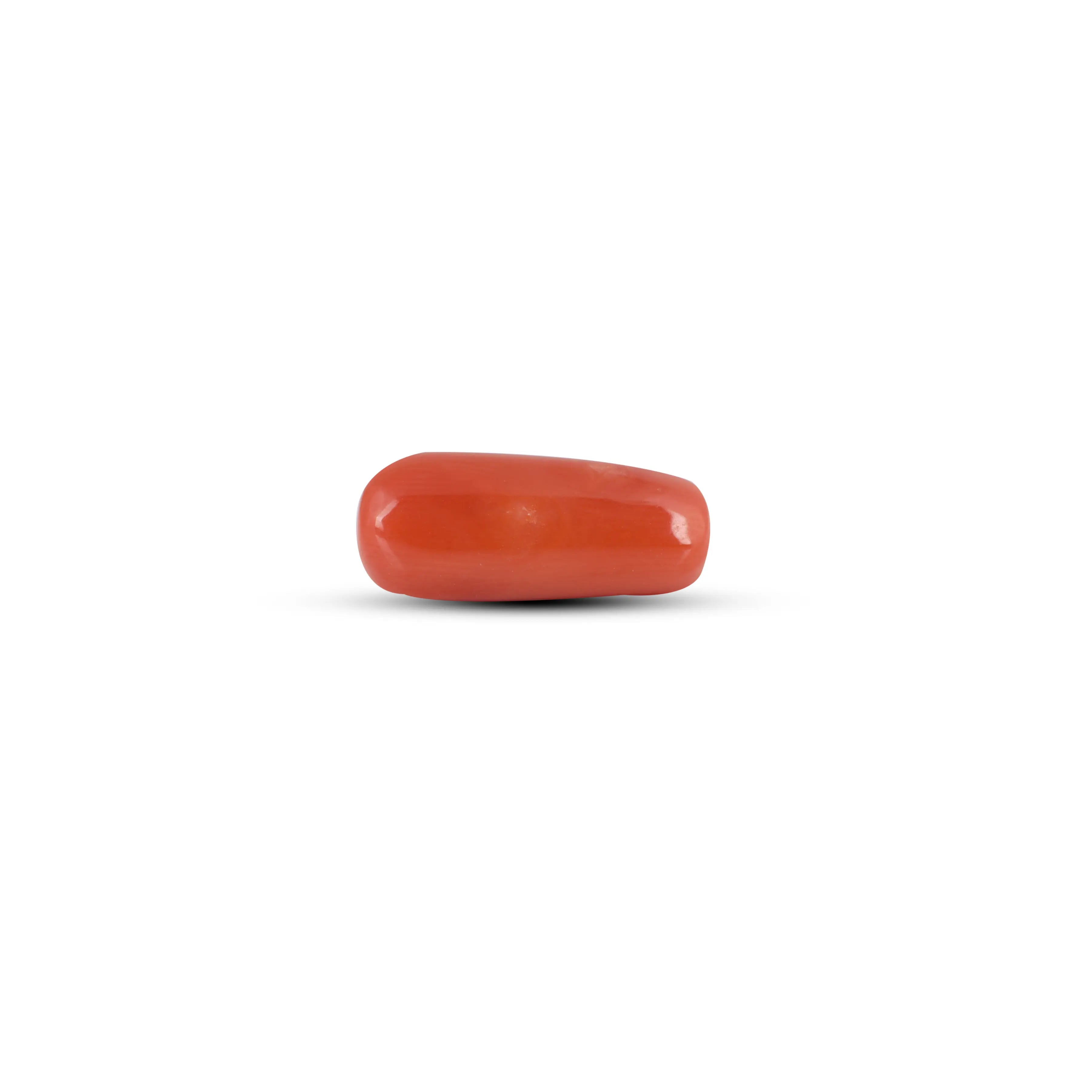 Pramogh Red Coral - 5.6 Carat