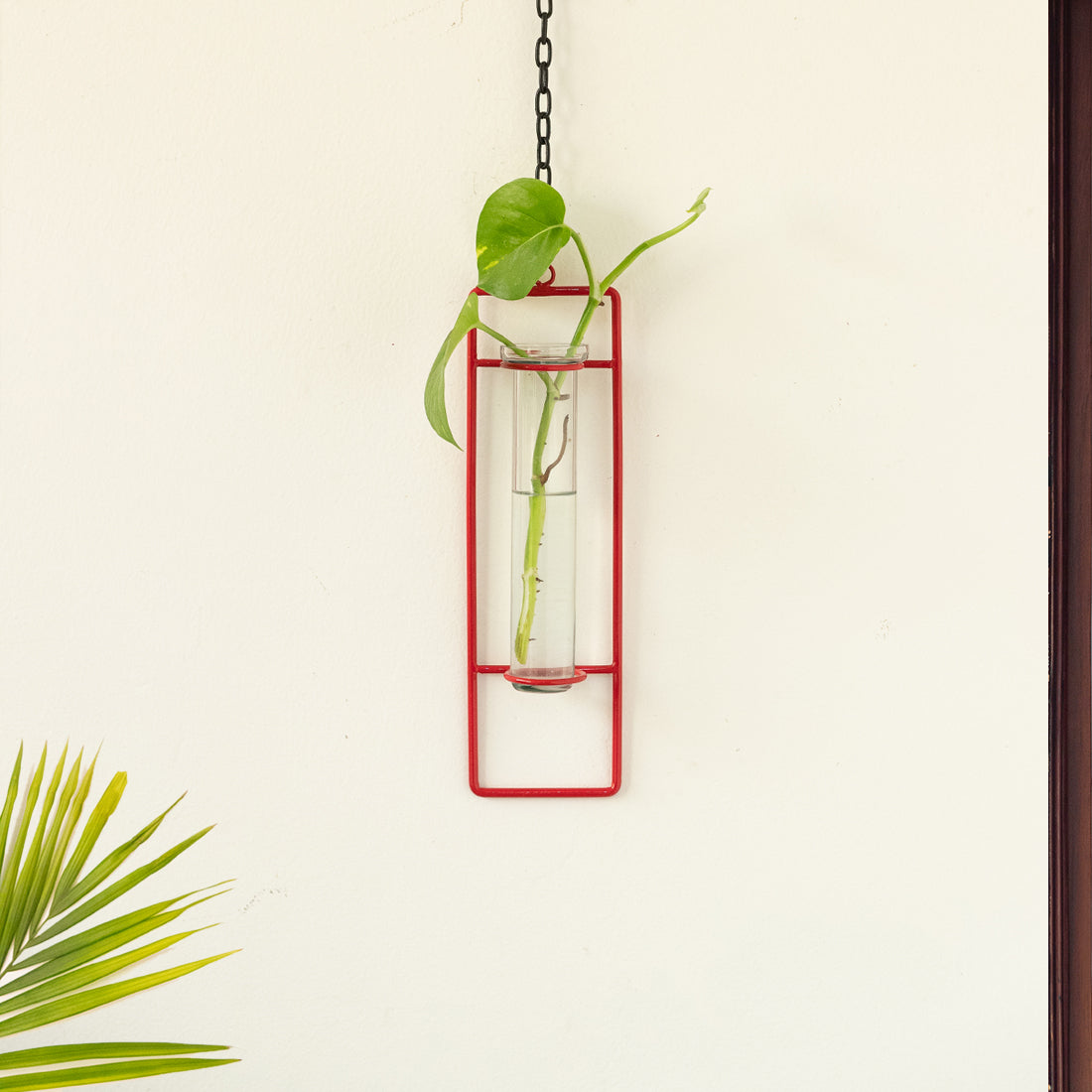 EXCLUSIVELANE 'Modern Glass Garden' Test Tube Hanging Planter/Vase (10 Inch, Red)