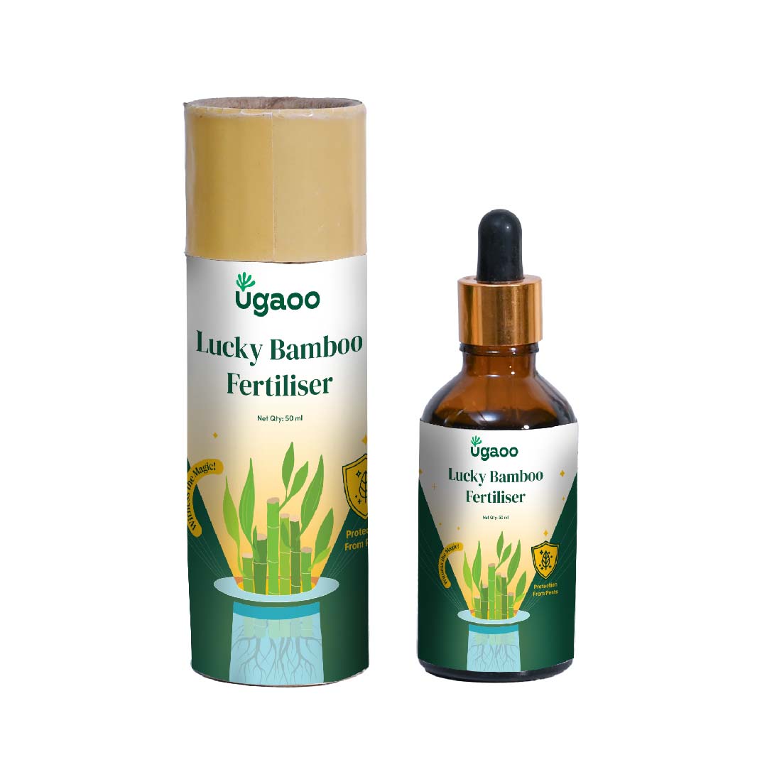 Ugaoo Lucky Bamboo Fertilizer