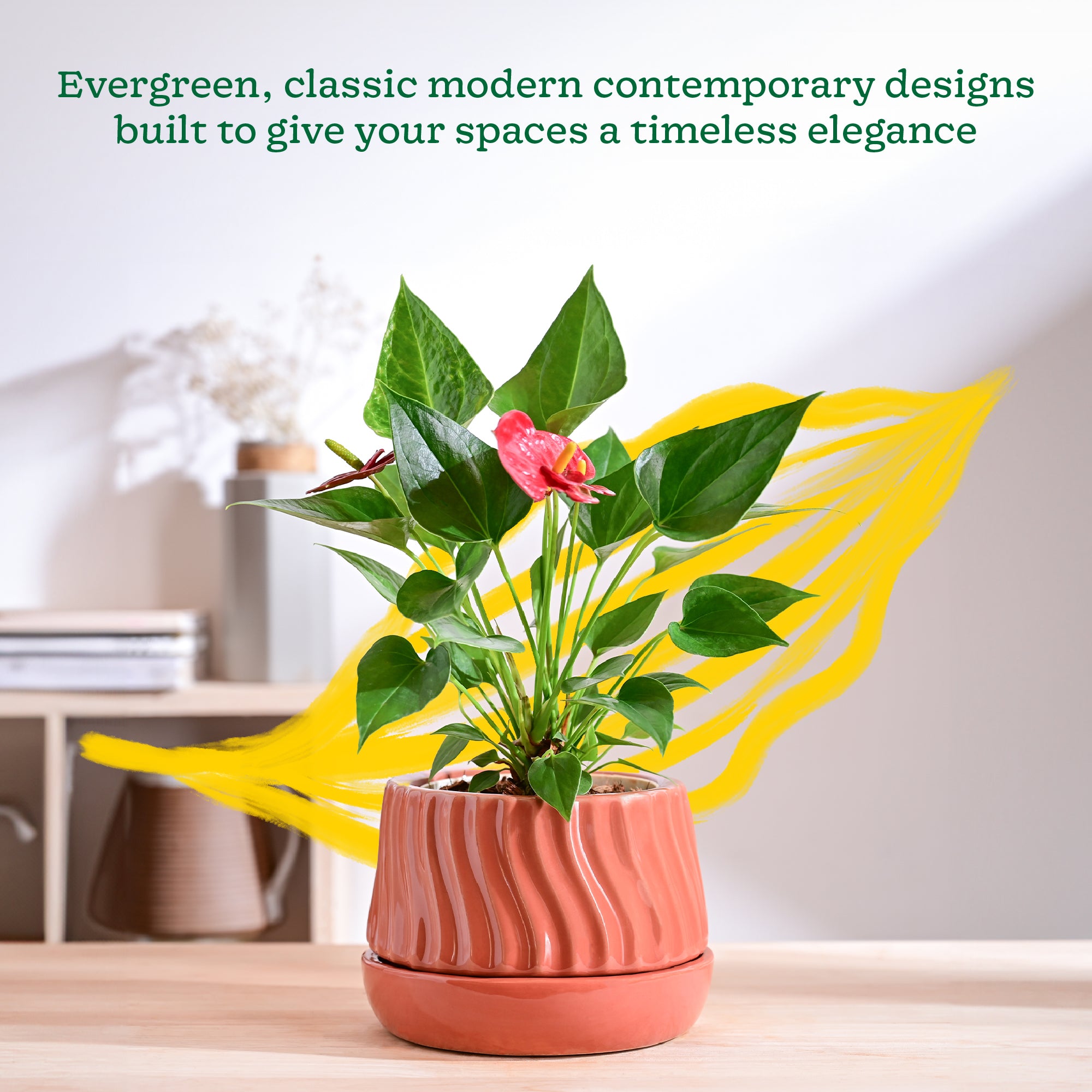 Ugaoo Fallen Angel Ceramic Planter - view 26