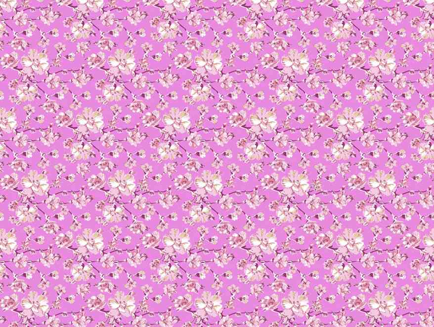 Spaces India Floral Pink 100% Cotton Double Bedsheet - Atrium By Spaces - view 6