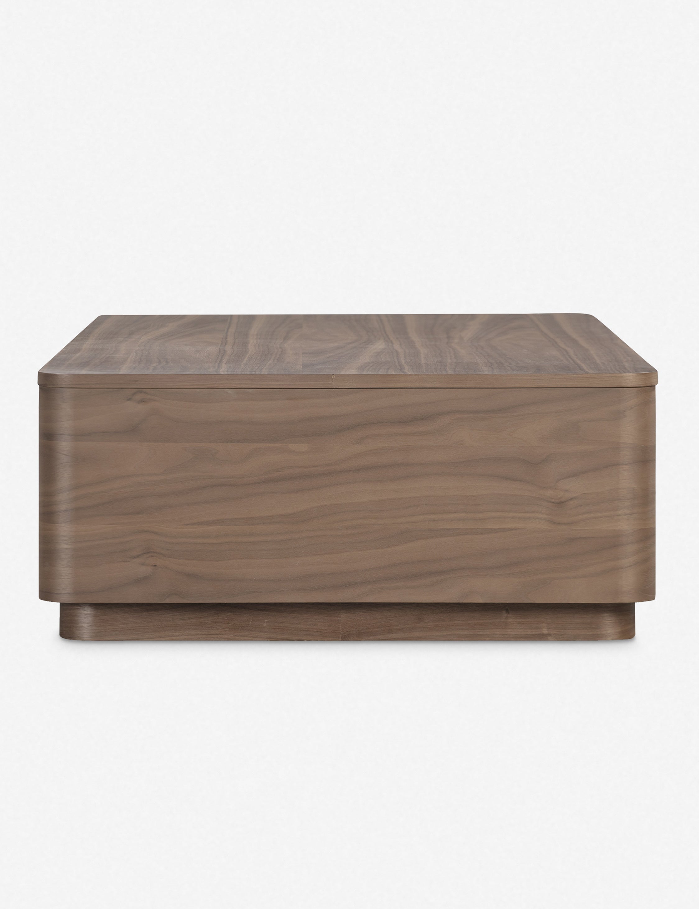 Lulu and Georgia Ryland Coffee Table - view 12