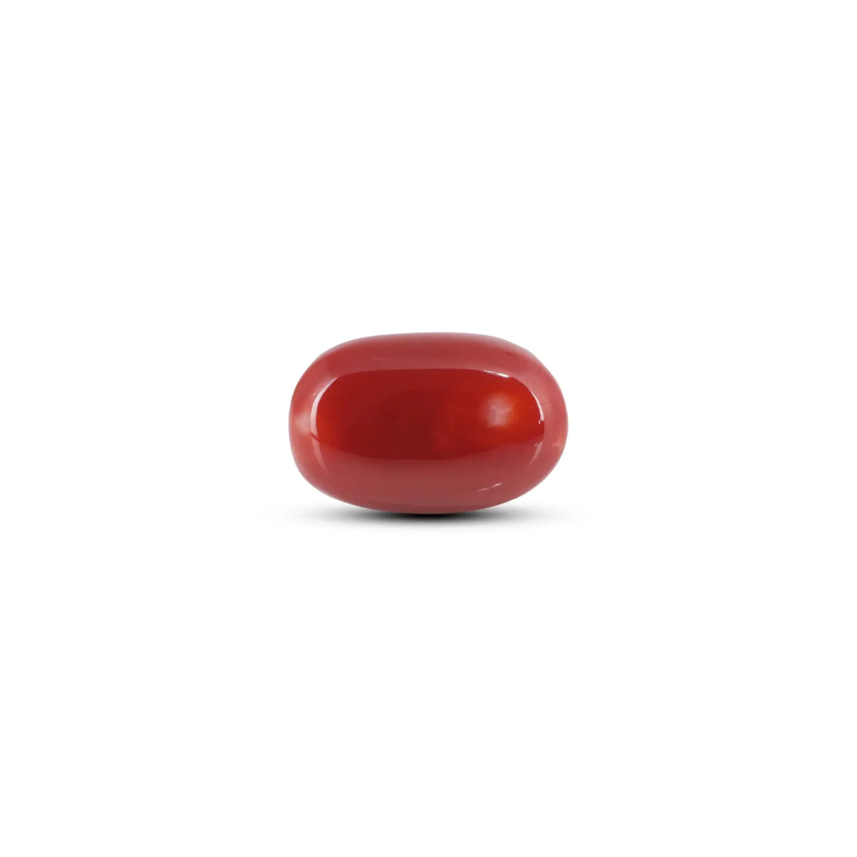 Pramogh Japanese Red Coral - 13 Carat