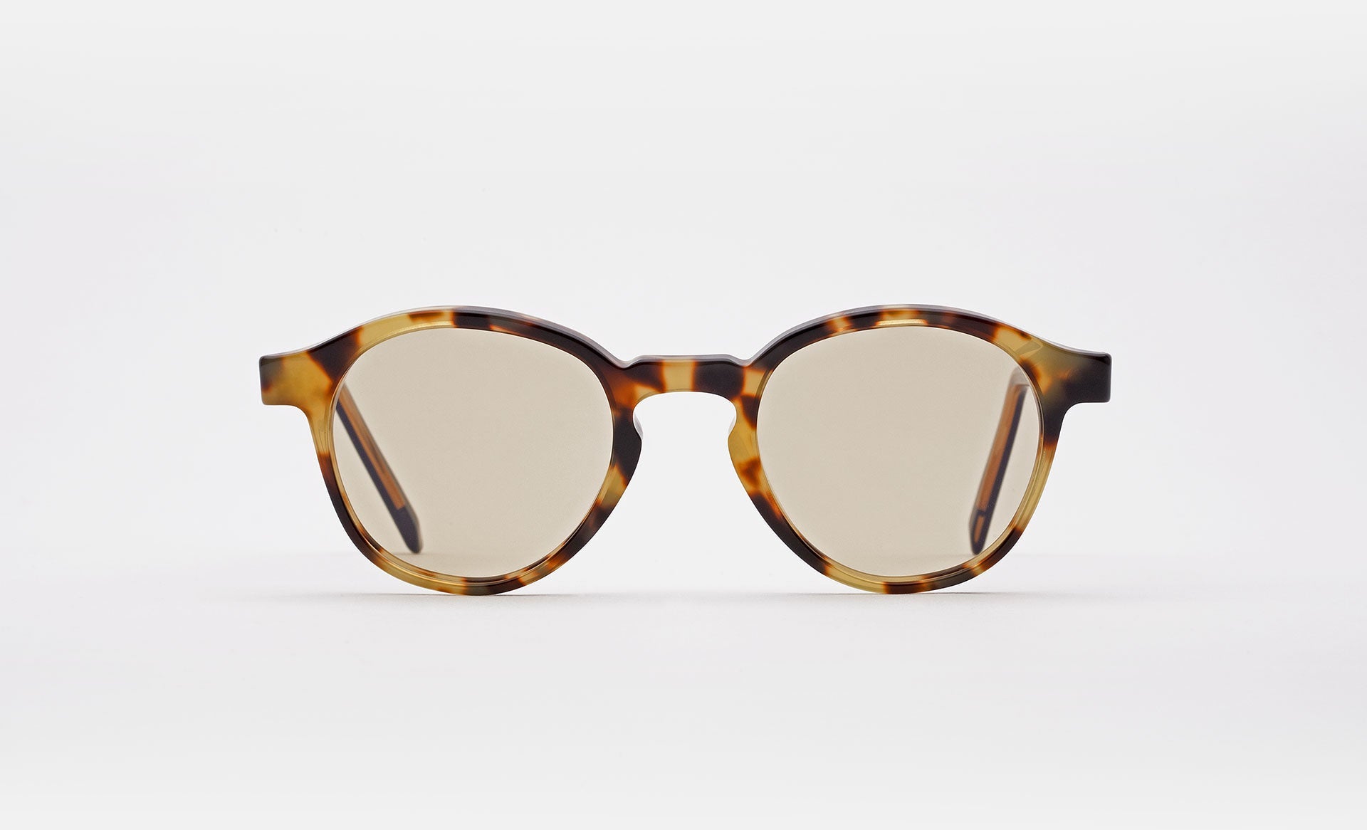 RETROSUPERFUTURE The Warhol Tortoise