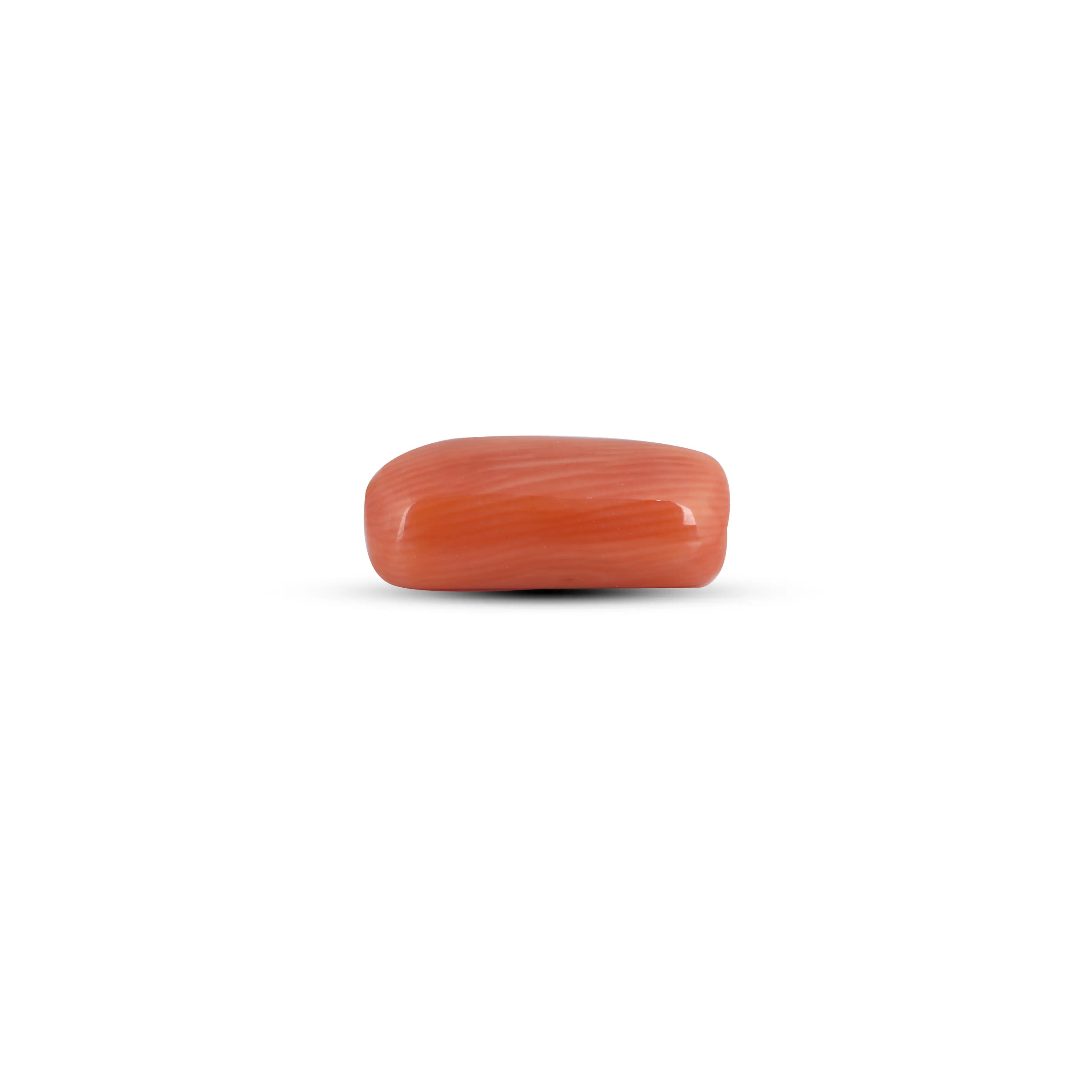 Pramogh Red Coral - 3.85 Carat - view 3