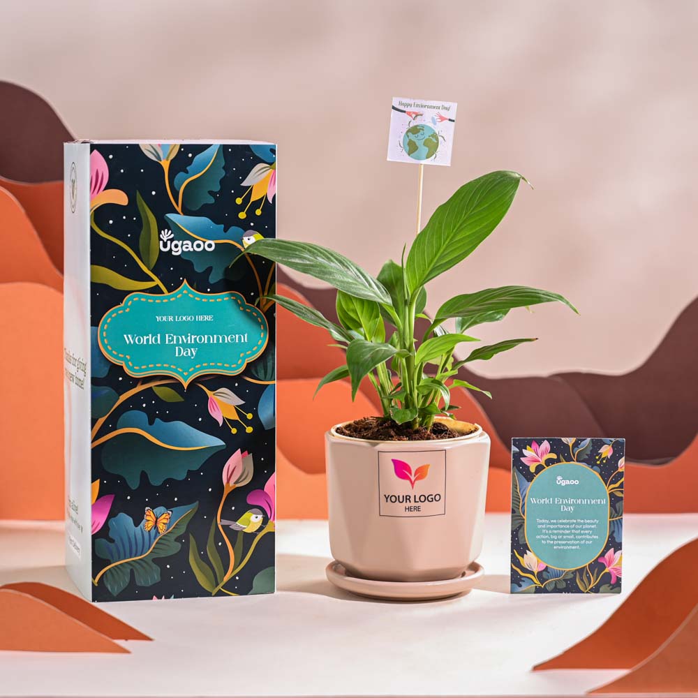 Ugaoo Peace Lily For Environment Day Gifting - view 55