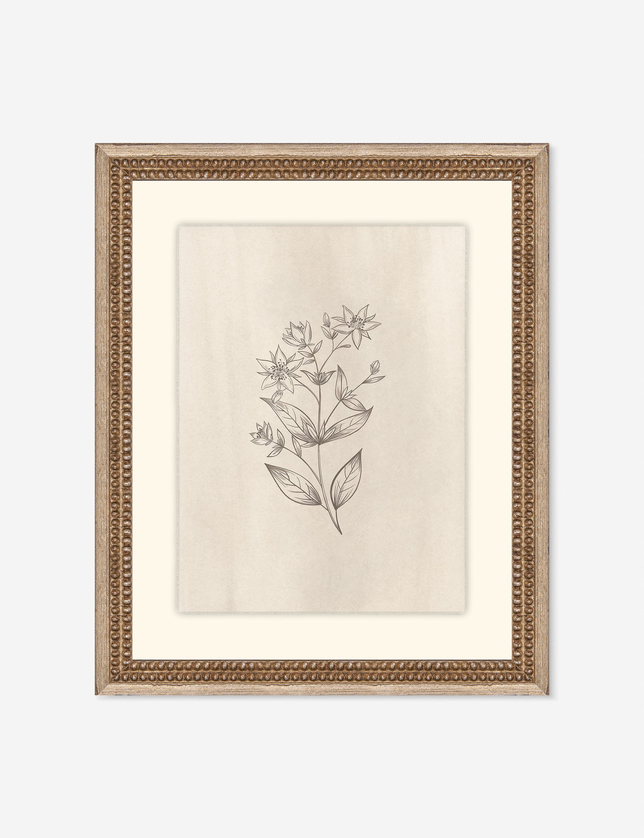 Lulu and Georgia Elegant Botanical VII Wall Art by Makai Howell