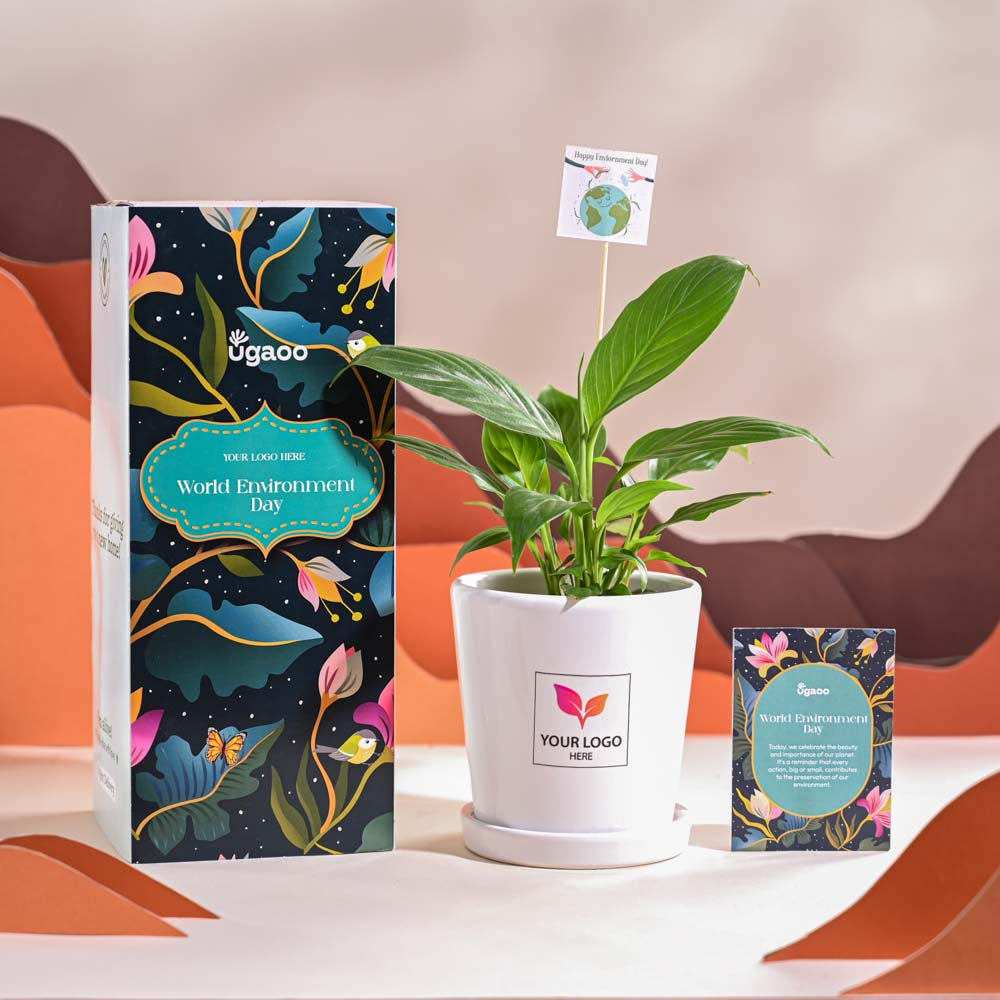 Ugaoo Peace Lily For Environment Day Gifting - view 67
