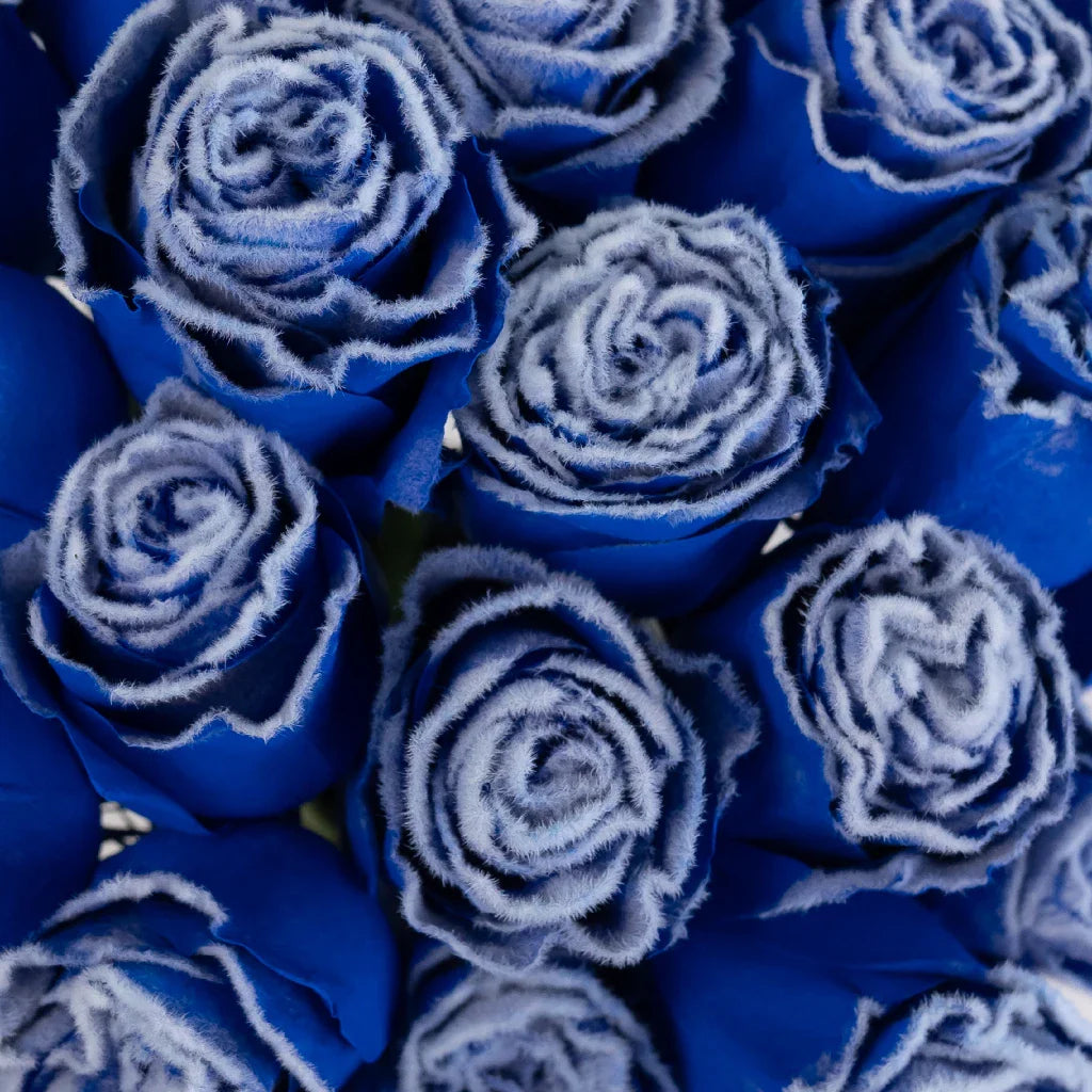 FiftyFlowers Tinted Blue Fuzzy Roses - view 4