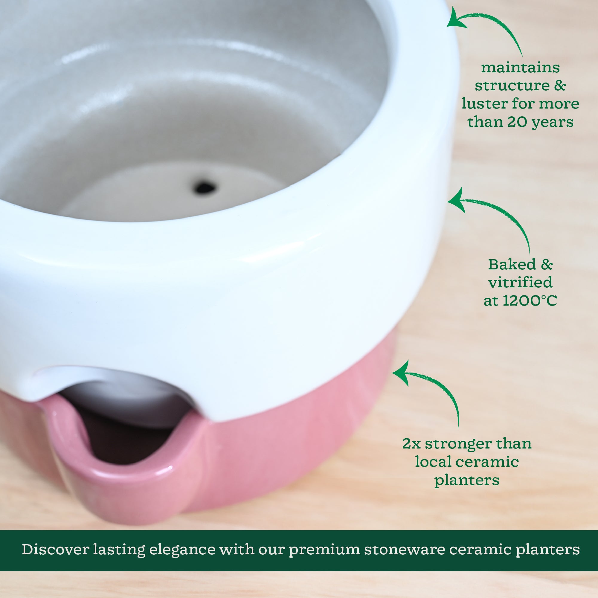 Ugaoo Flower Sunflower Ceramic Planter - view 29
